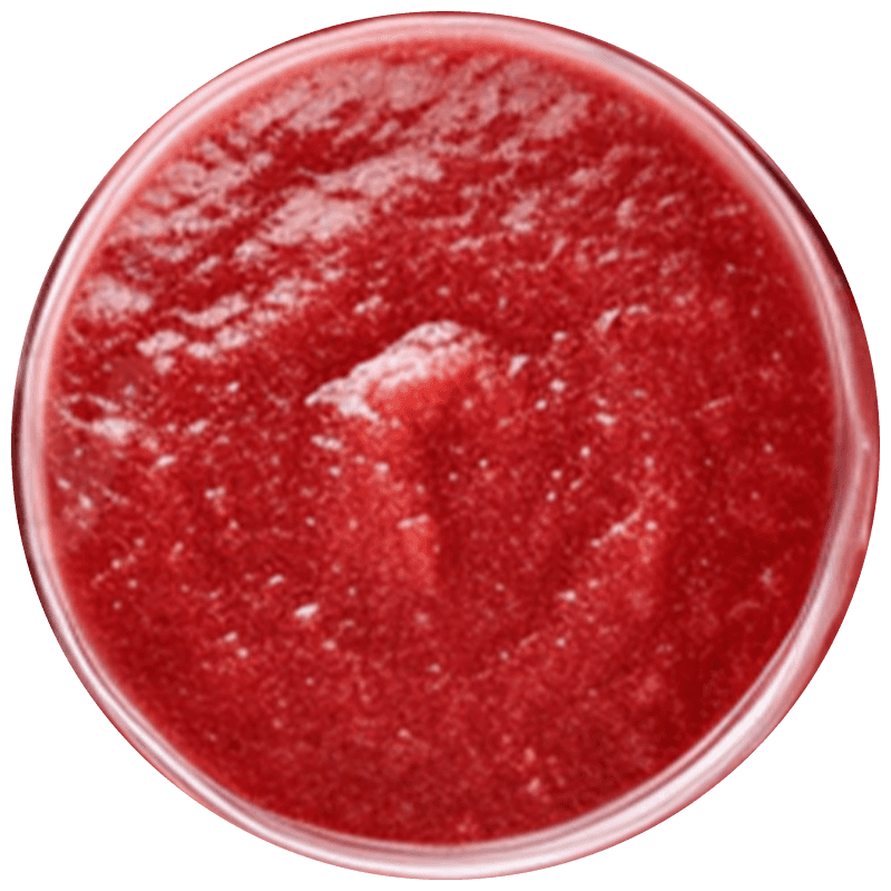 A bright, modern dining room featuring a long light wood table set with several matching wooden chairs and white cushions, illuminated by natural light streaming through large windows overlooking a lush green and sunlit yard.