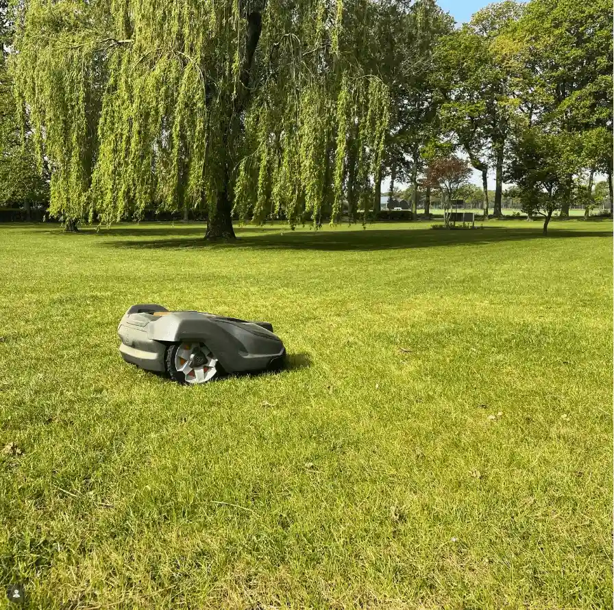 Gazonbeheer in Beuningen door Hoveniersbedrijf Star Landscaping