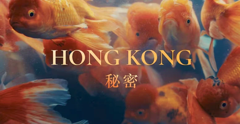 Goldfish in a fishtank swimming around