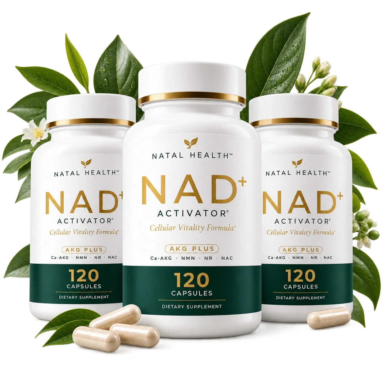 Natal Health NAD+ product presentation with botanical leaves.