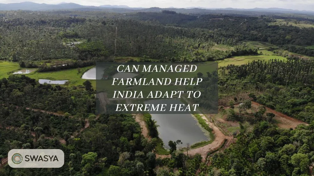 Can Managed Farmland Help India Adapt to Extreme Heat