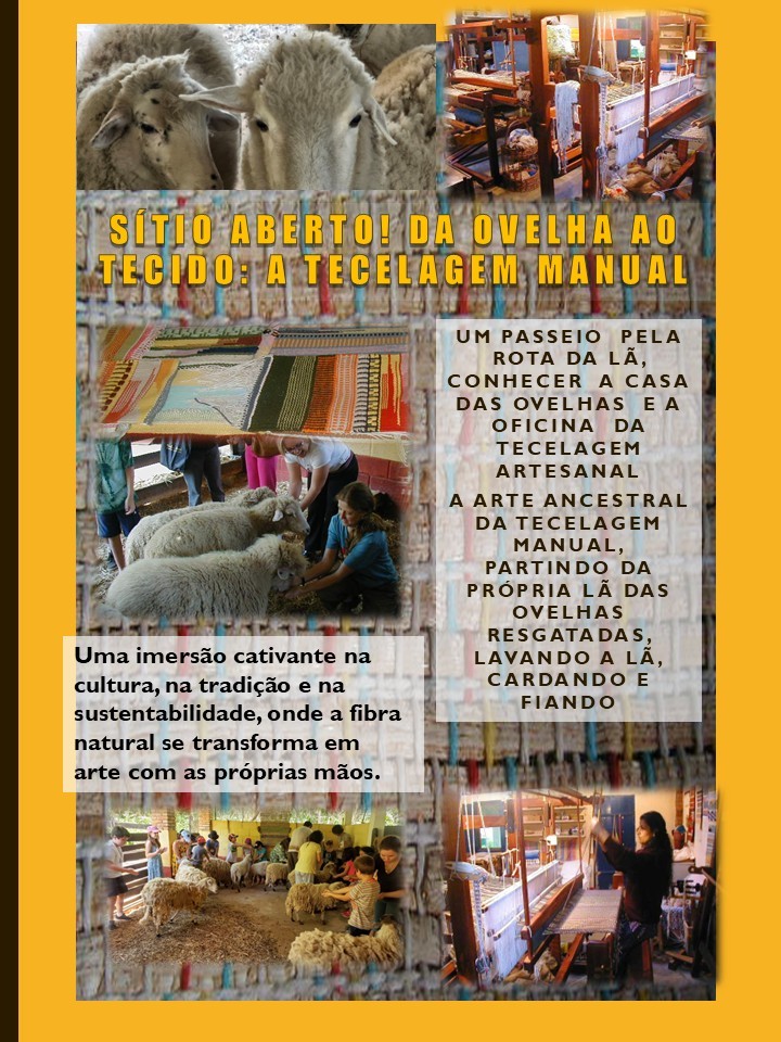 Sítio Aberto! Da Ovelha ao Tecido: A Tecelagem Manual