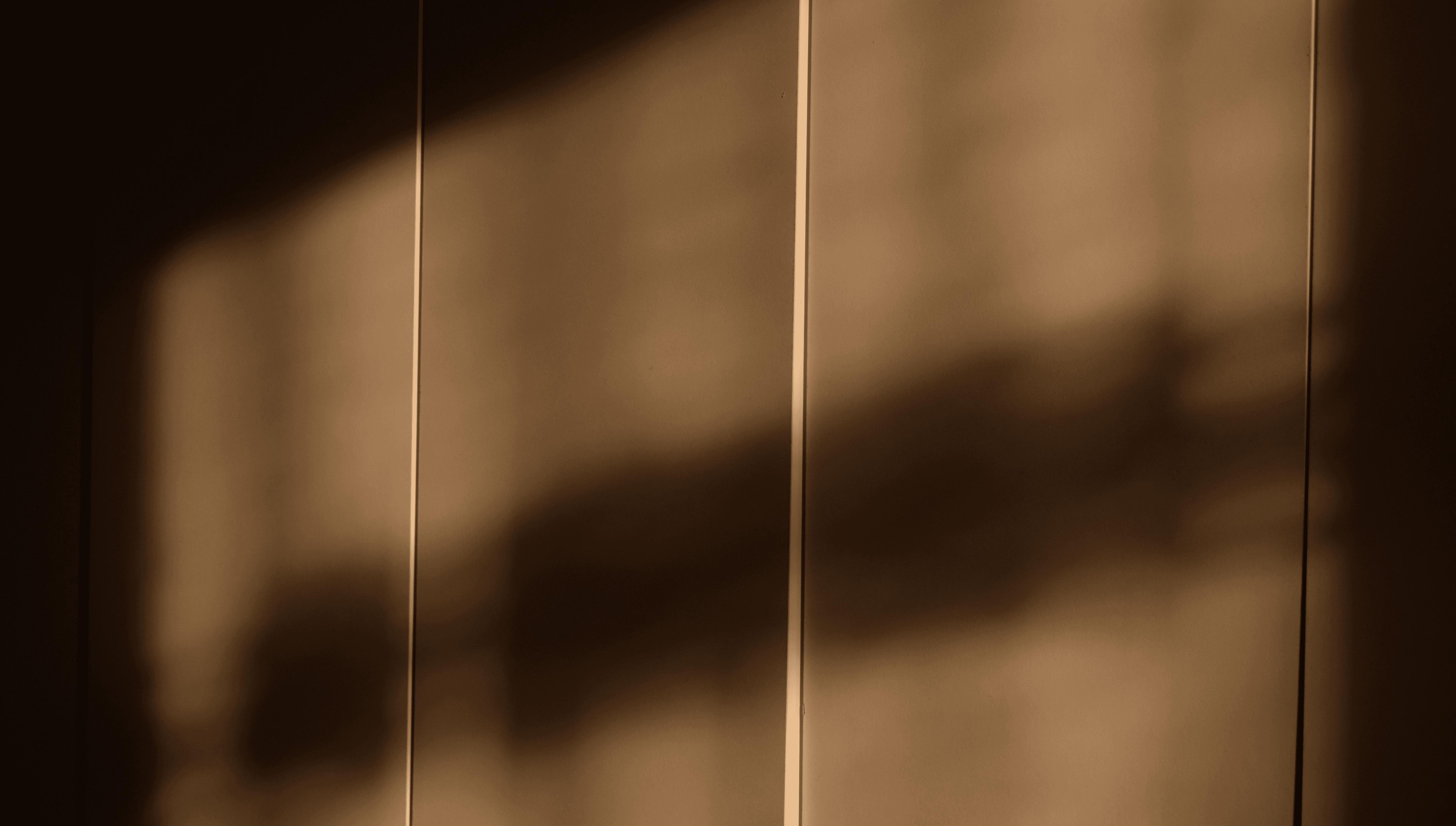 Silhouette of a person standing in front of colorful, flowing abstract light patterns.