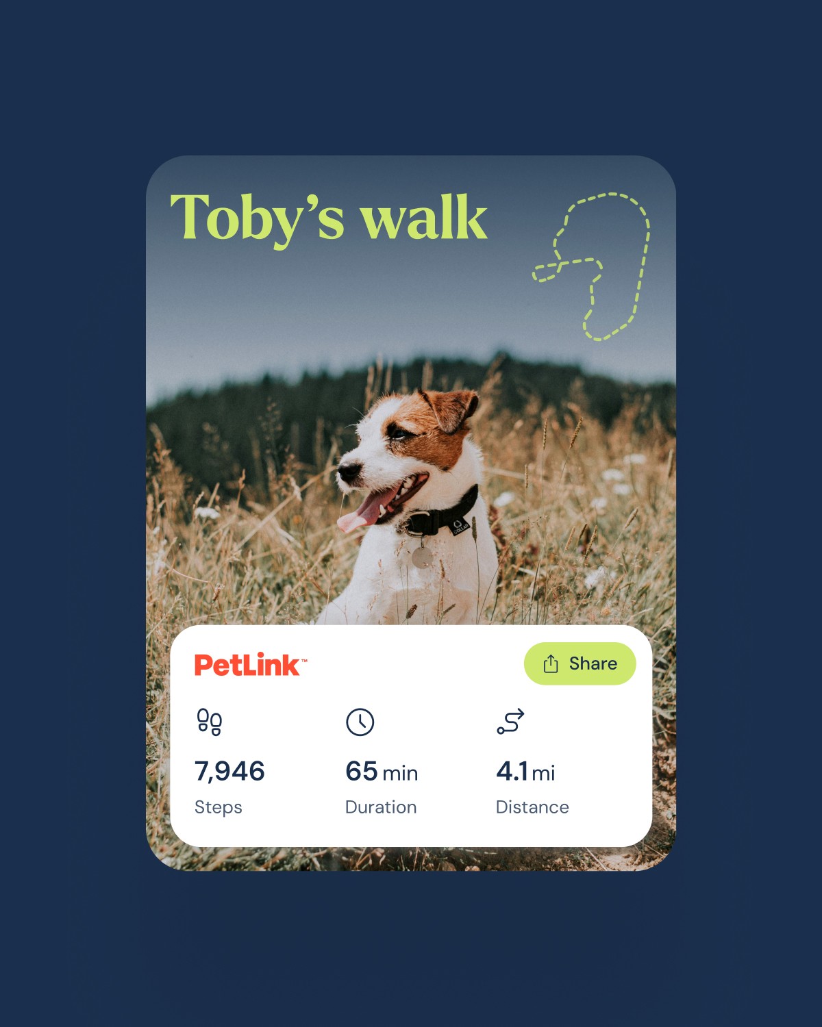UI card showing summary of the pet's walk