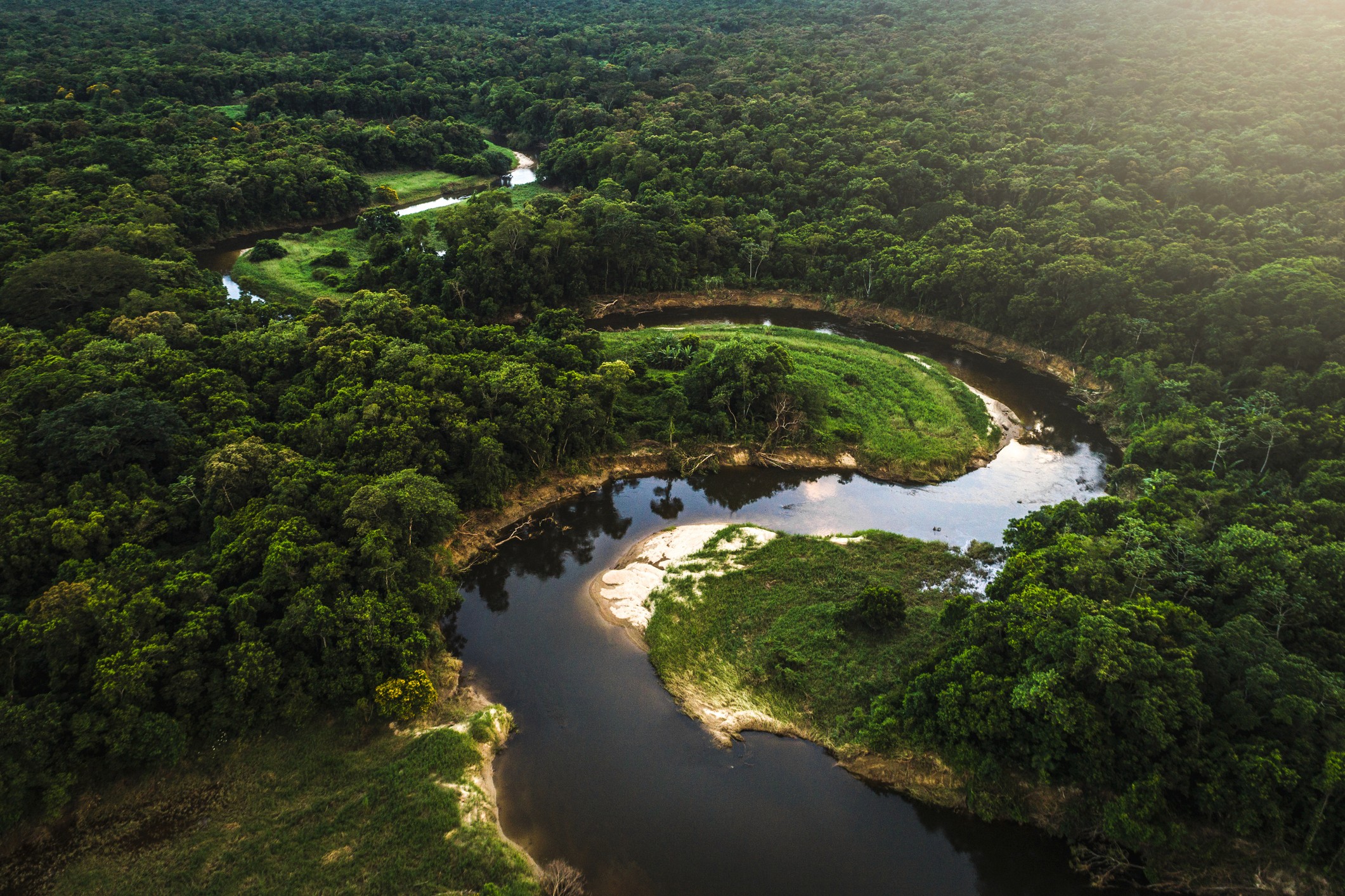 River in the amazon