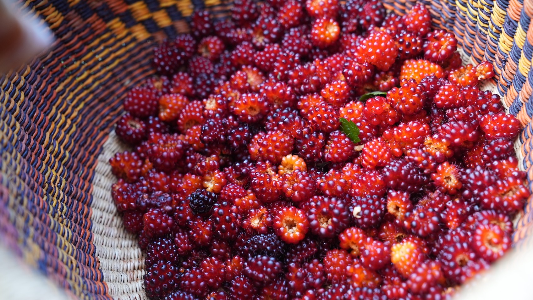 Can you have too many antioxidants?