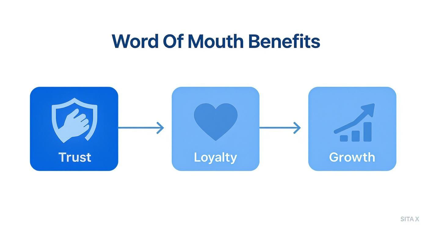 Infographic about what is word of mouth marketing