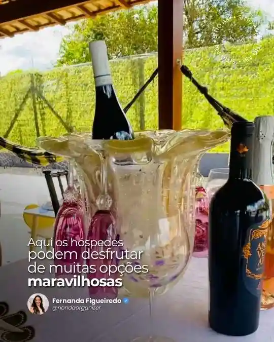 Taças e porta gelo luxo - Sítio A&J