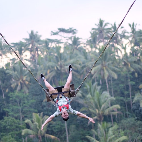 A person suspended upside down by ropes over a lush tropical forest, with a backdrop of tall palm trees.