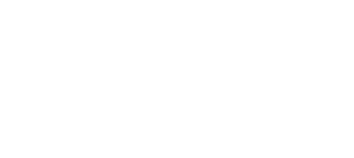 Logo Blue Mountain Consulting