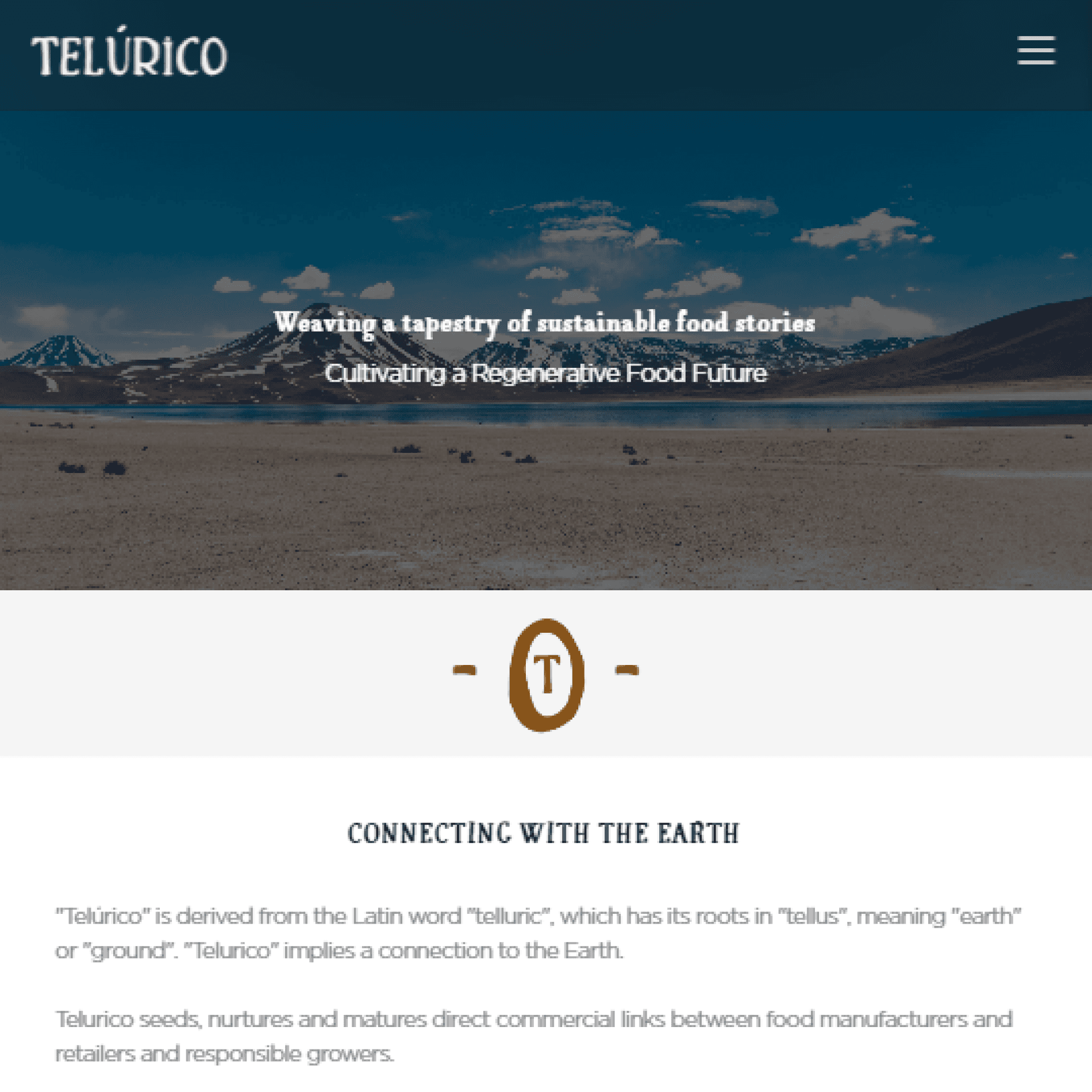 Telurico Website in Framer