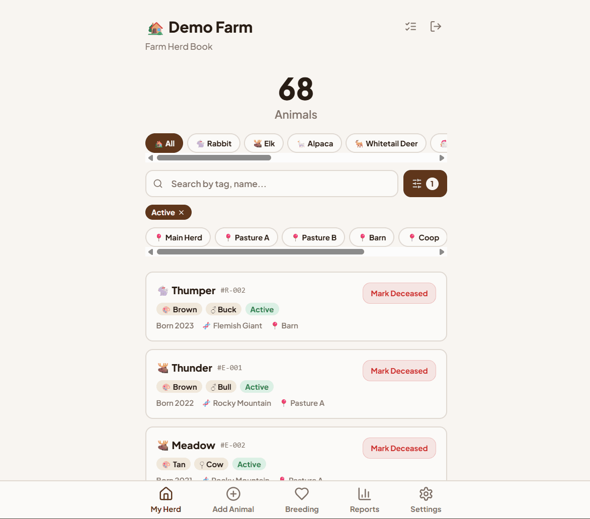 Hammer and Pixel UX Design - Inventory System