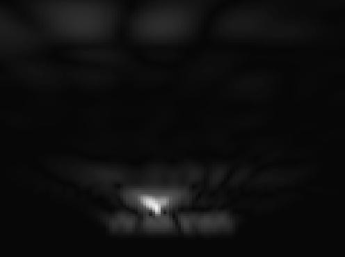 Premium UX Template for Framer