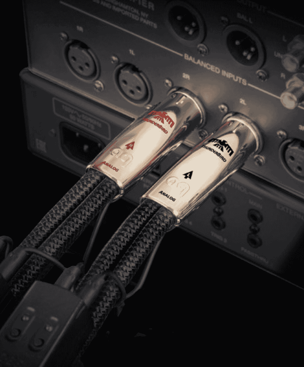 AudioQuest Thunderbird XLR - zoom - LE STUDIO HIFI