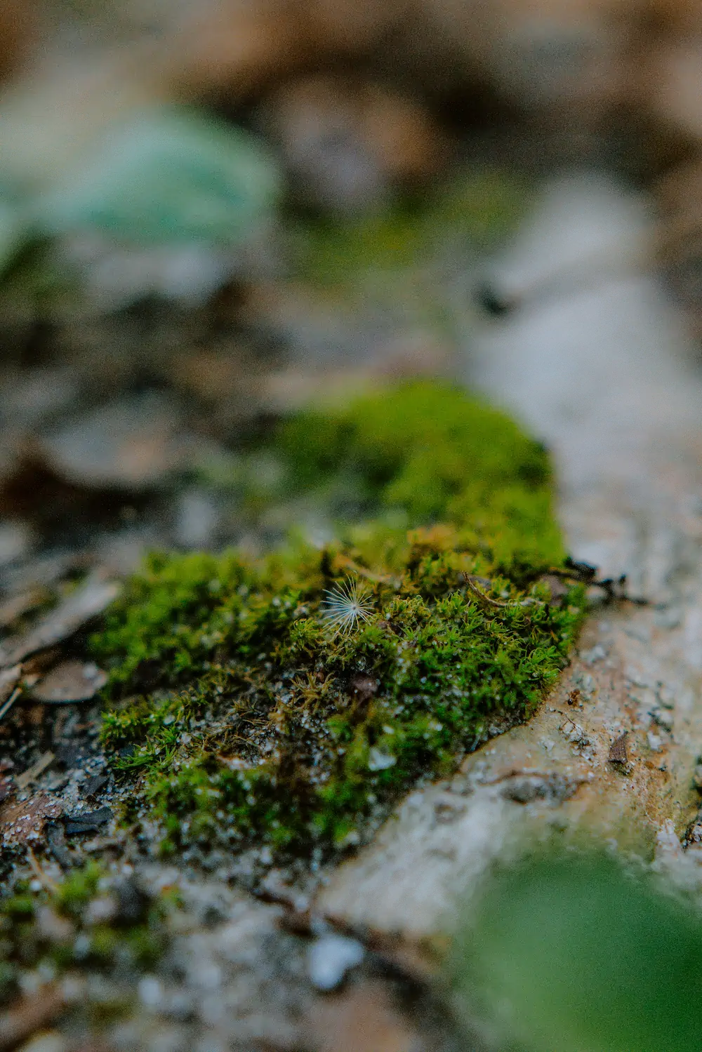 smiling man wearing black turtleneck shirt holding camrea