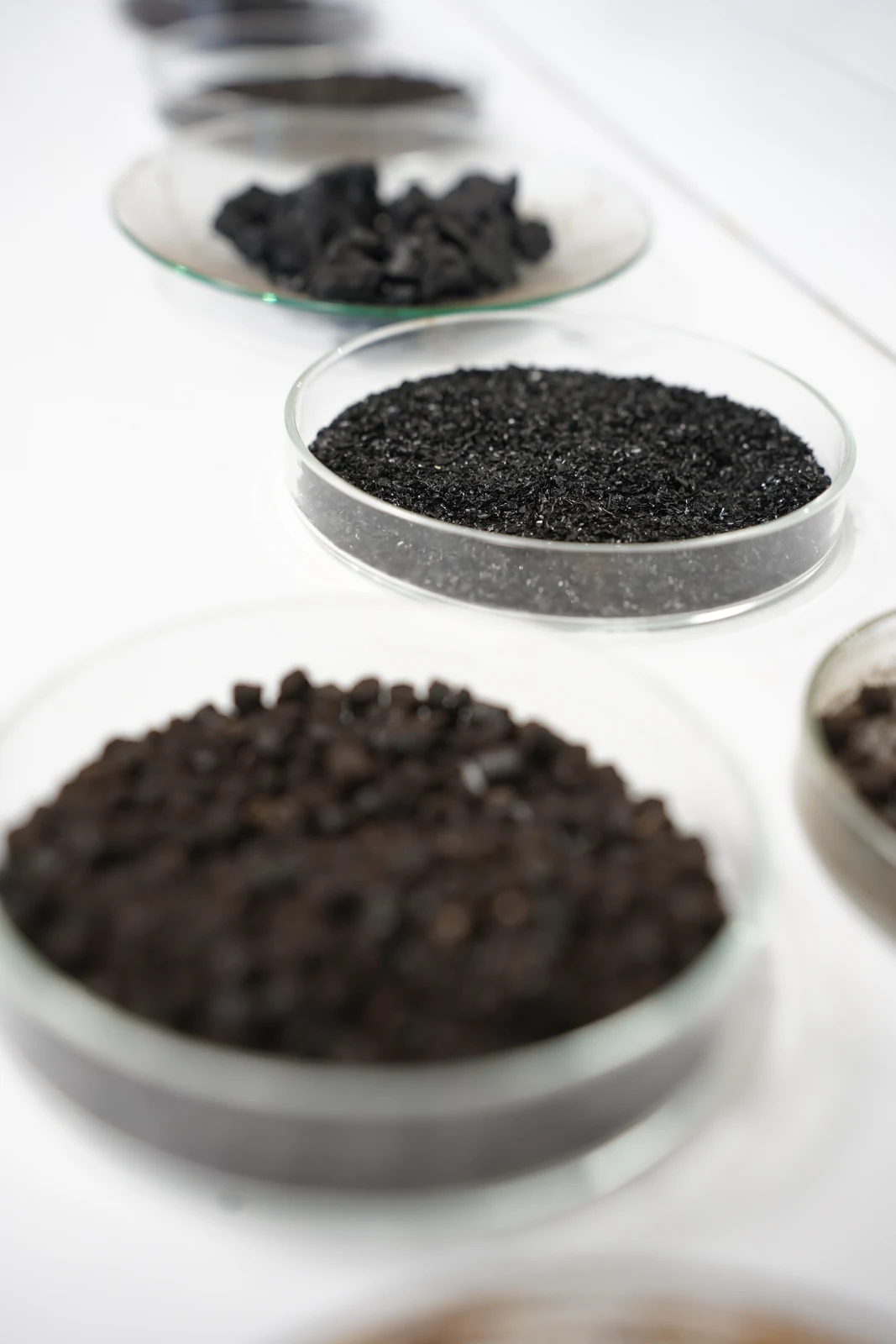 Leonardite samples in three forms, from raw lumps to fine granules, in glass lab dishes