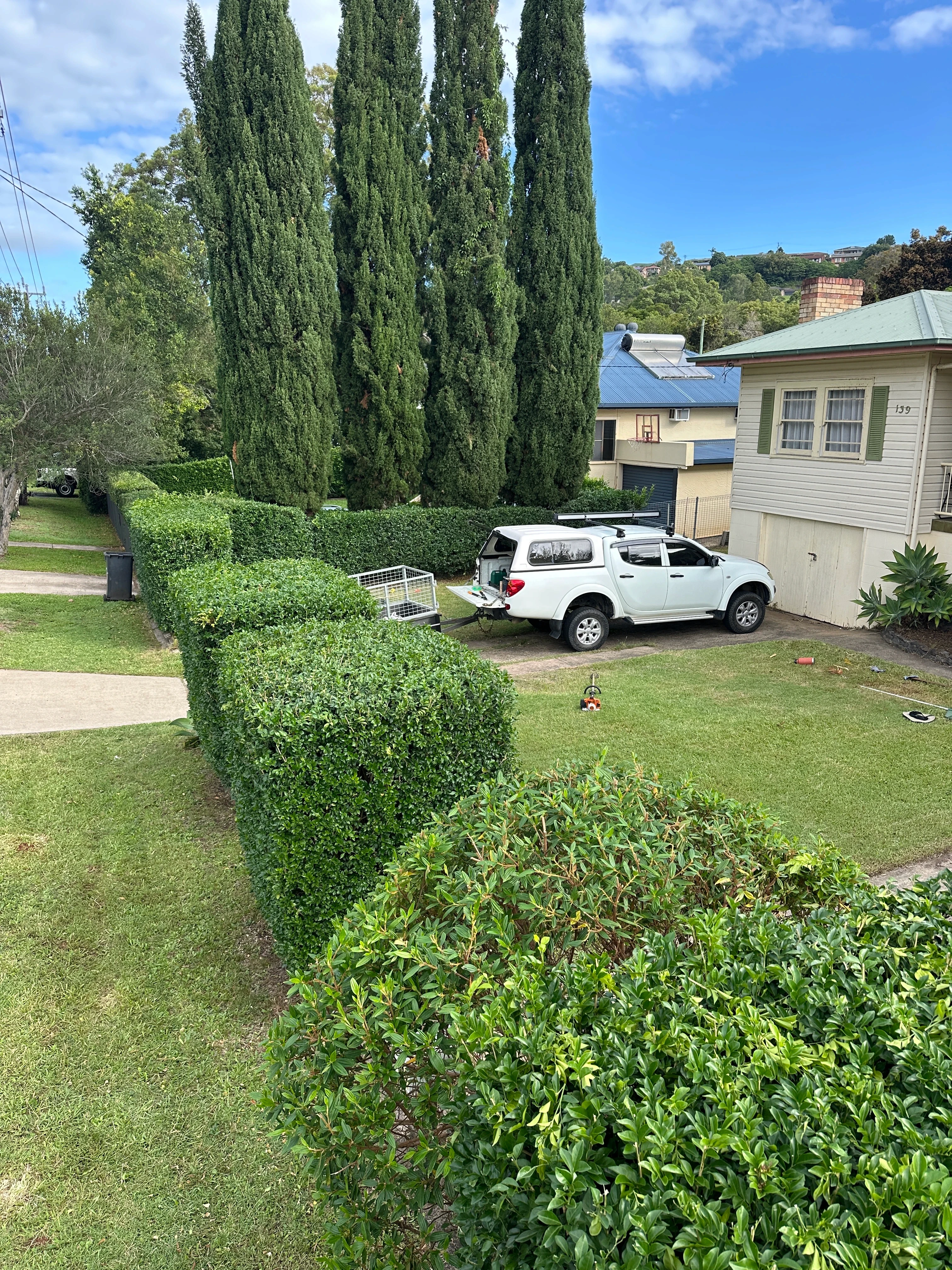 Hedging in Byron Bay