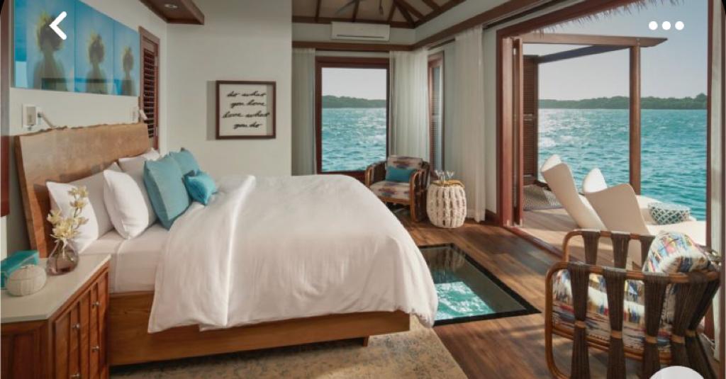 husband and wife working happily on a laptop