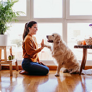 How to Choose the Perfect Pet for Your Lifestyle