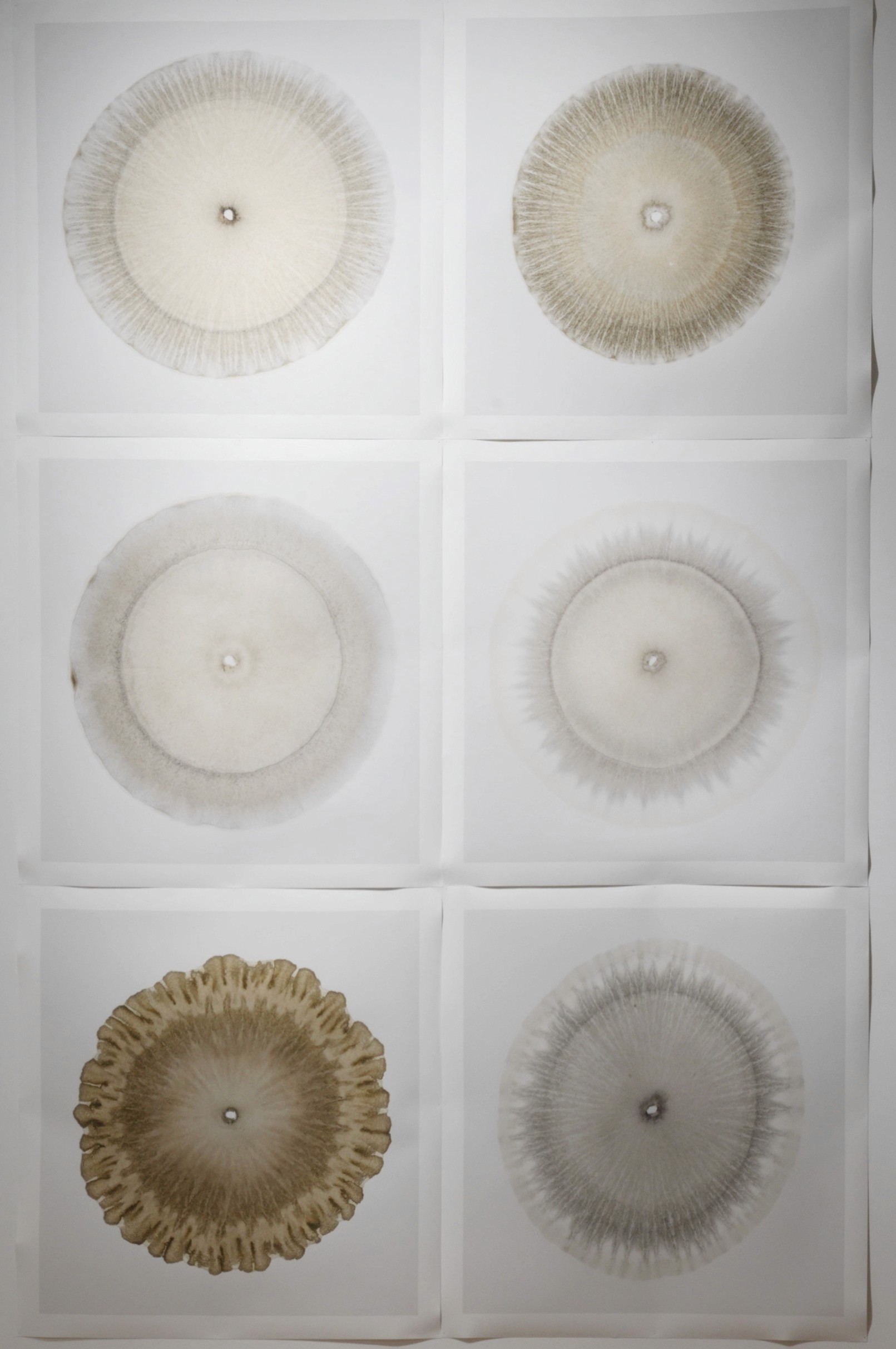 CROMOGRAFÍAS DE 6 TIERRAS DE VOLCANES DE LA BIBLIOTECA DE LA TIERRRA, Comisionadas para Eje Neovolcánico Paulina Ascencio Fuentes y Daniel Garza Usabiaga, 2023. Impresión cromógena sobre papel de algodón, 100 x 100 cms