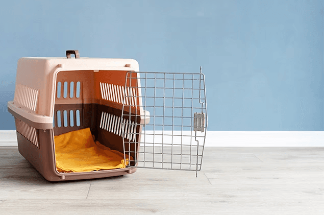Empty dog crate with the door open, symbolizing control and responsibility issues involved in dog bite liability claims