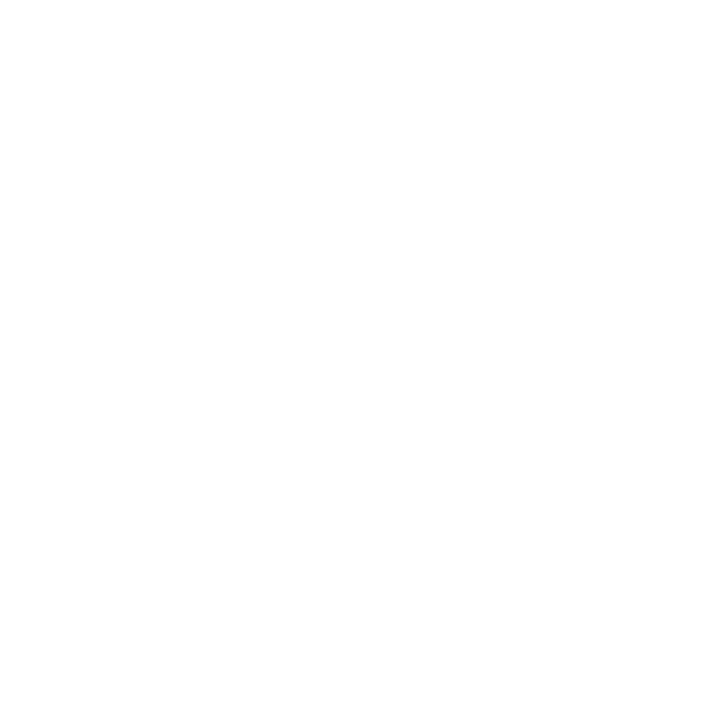Studioshot Logo