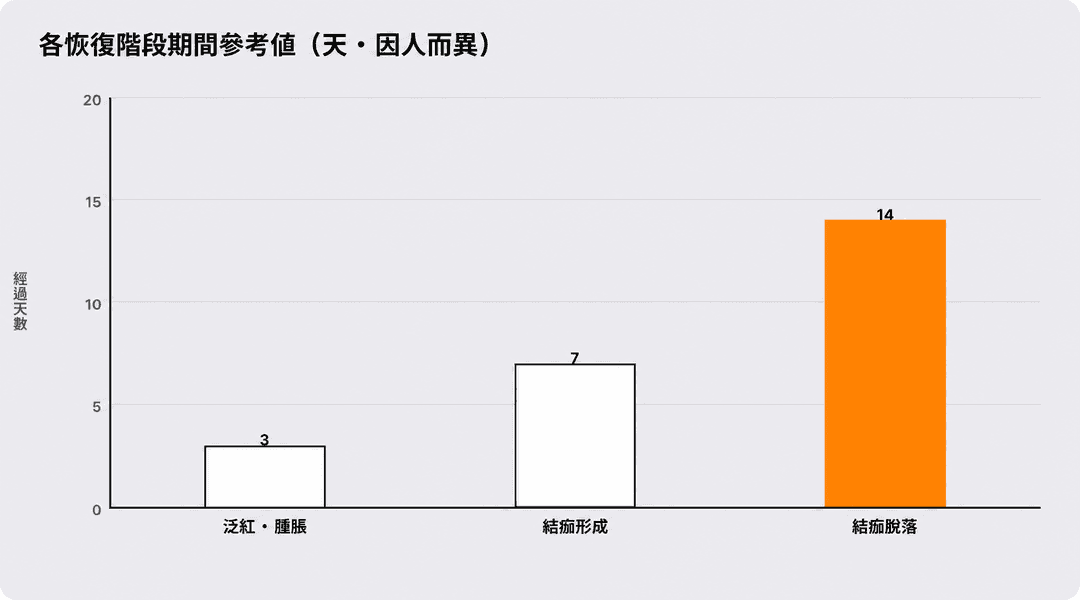 各階段的恢復進程