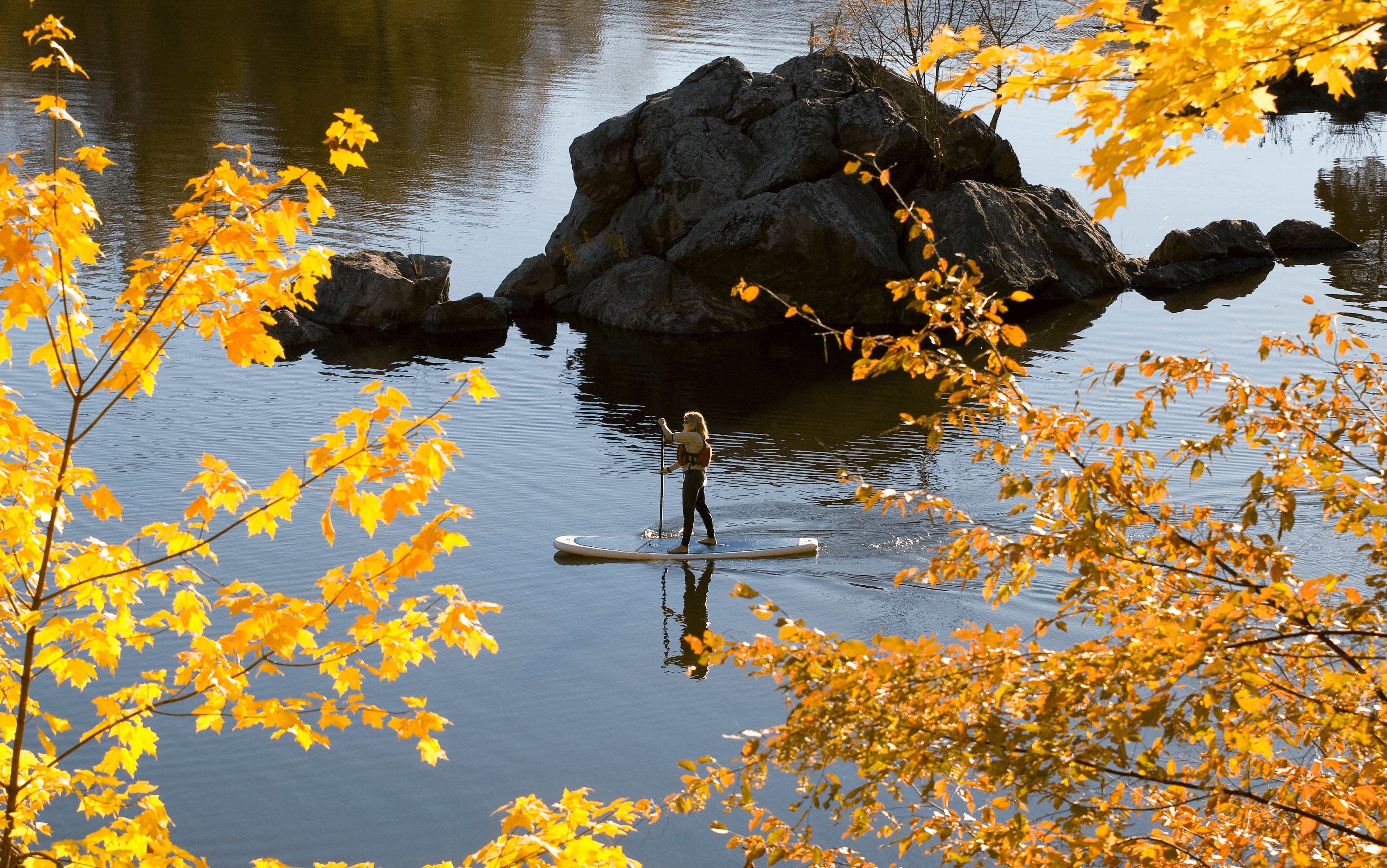 Woman enjoying standup paddle boarding on the Potomac River amongst fall foliage