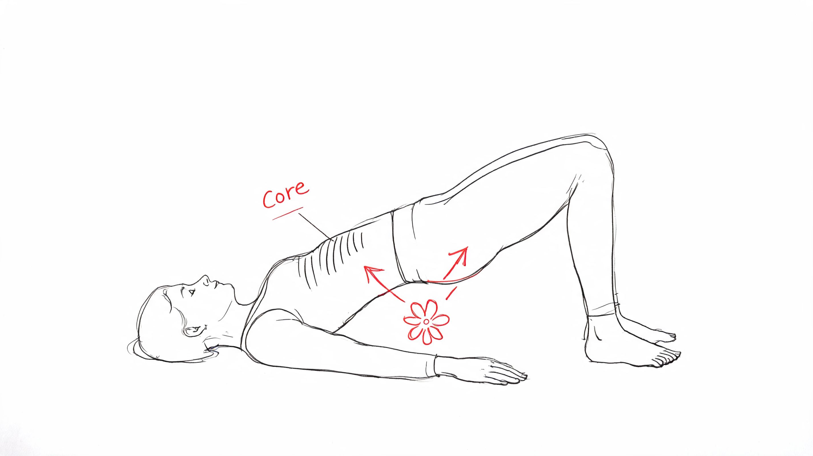 A line drawing of a woman performing a pelvic bridge exercise to support hormonal balance.