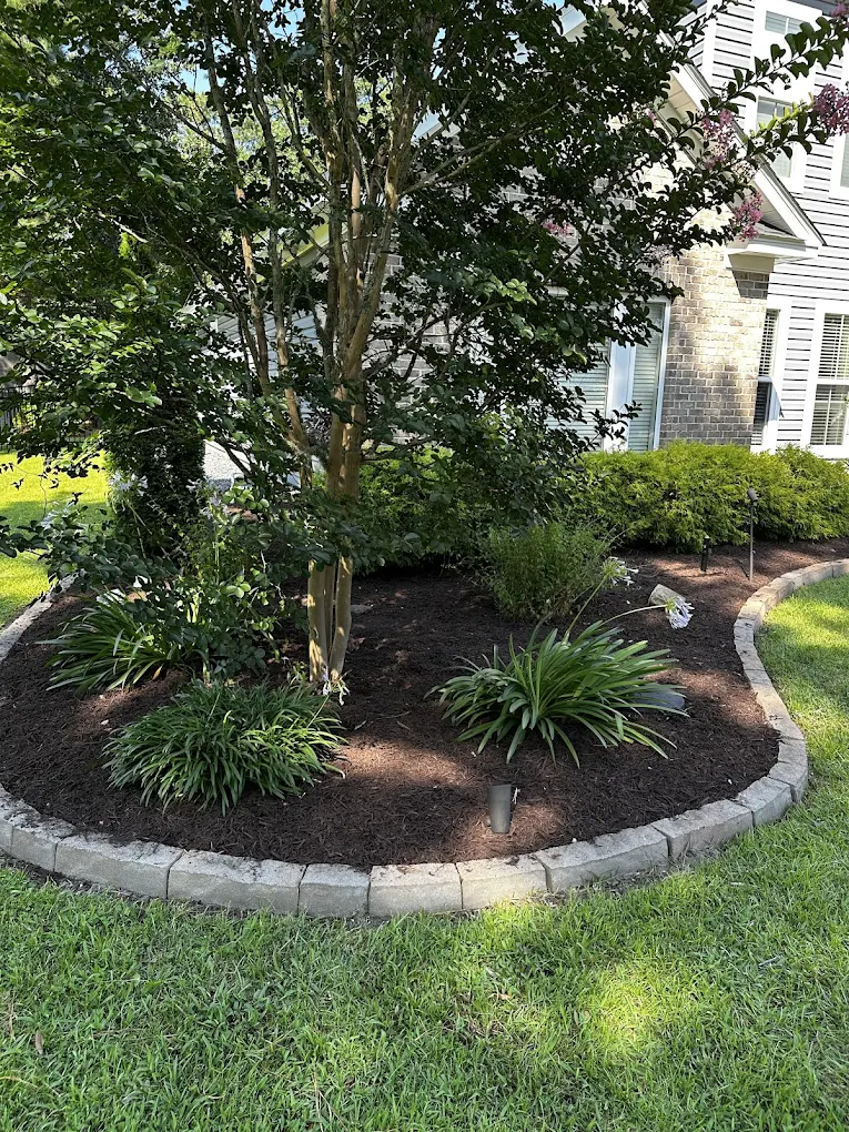 Beautiful landscaped garden with greenery and outdoor design elements.