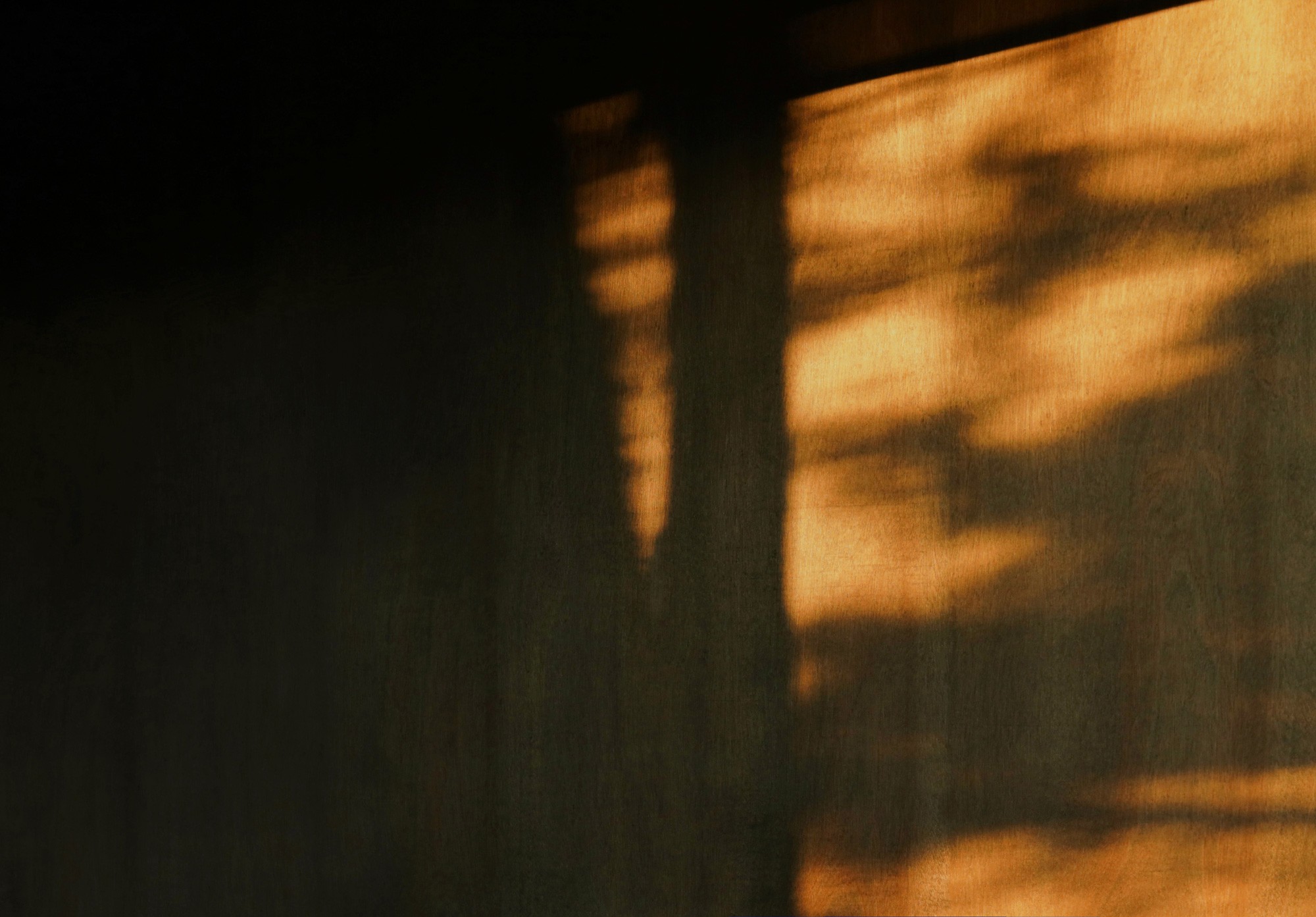 Abstract warm-toned image representing personal health focus.