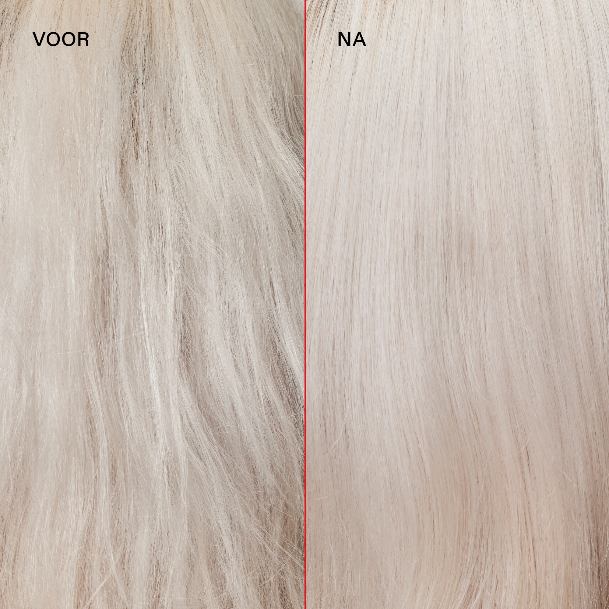 Photo of Gold in a leaf