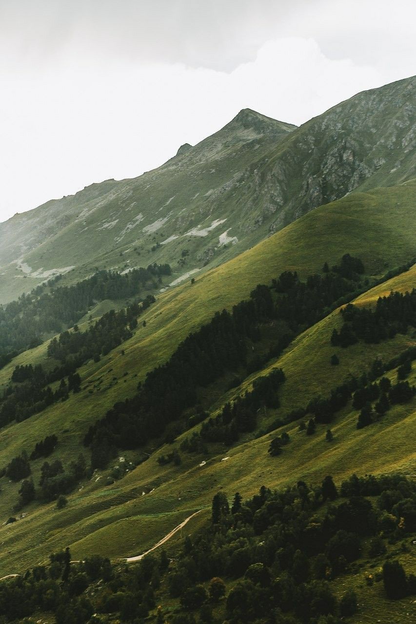 A photo of a group of models