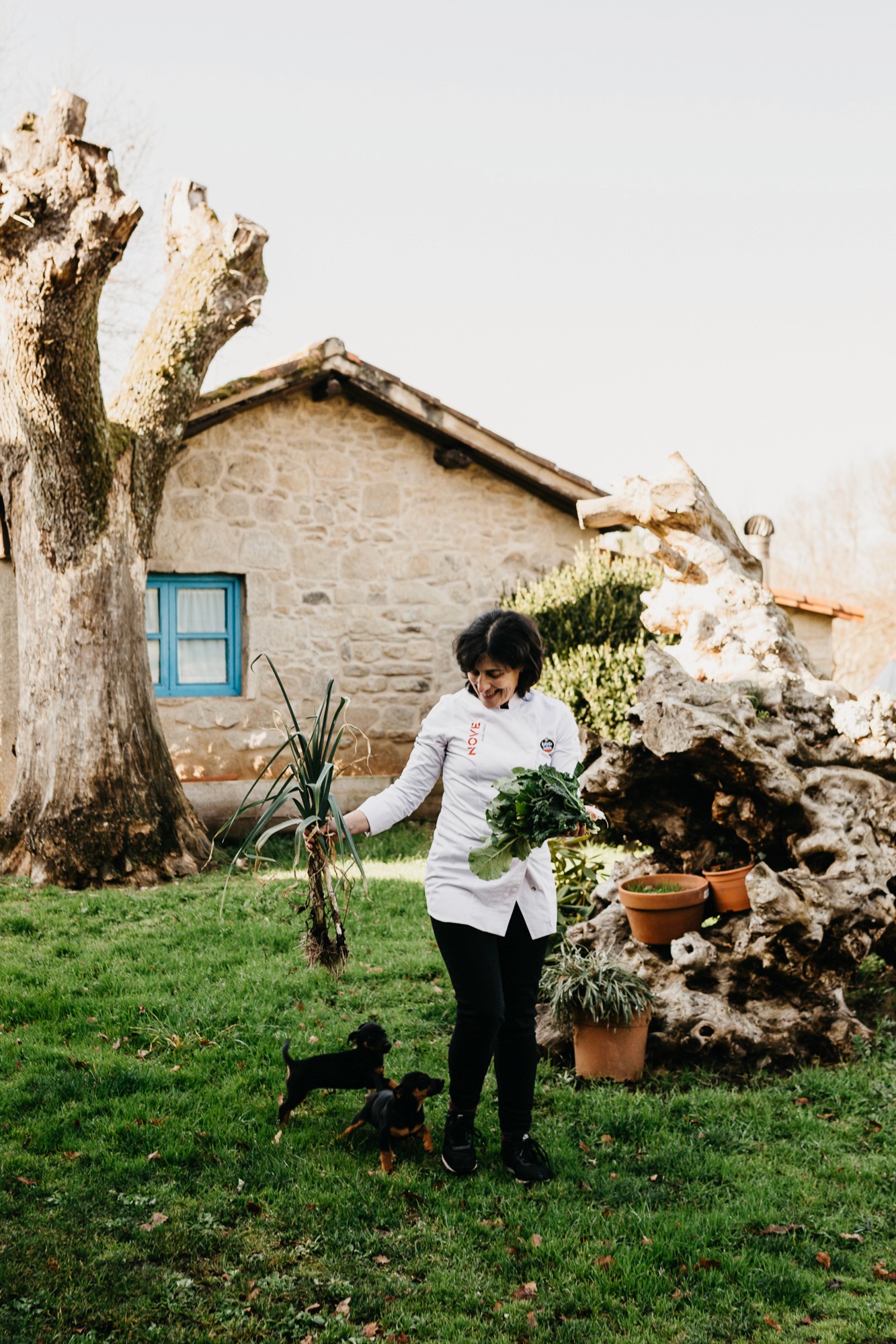A parada das bestas | Sesion fotografía