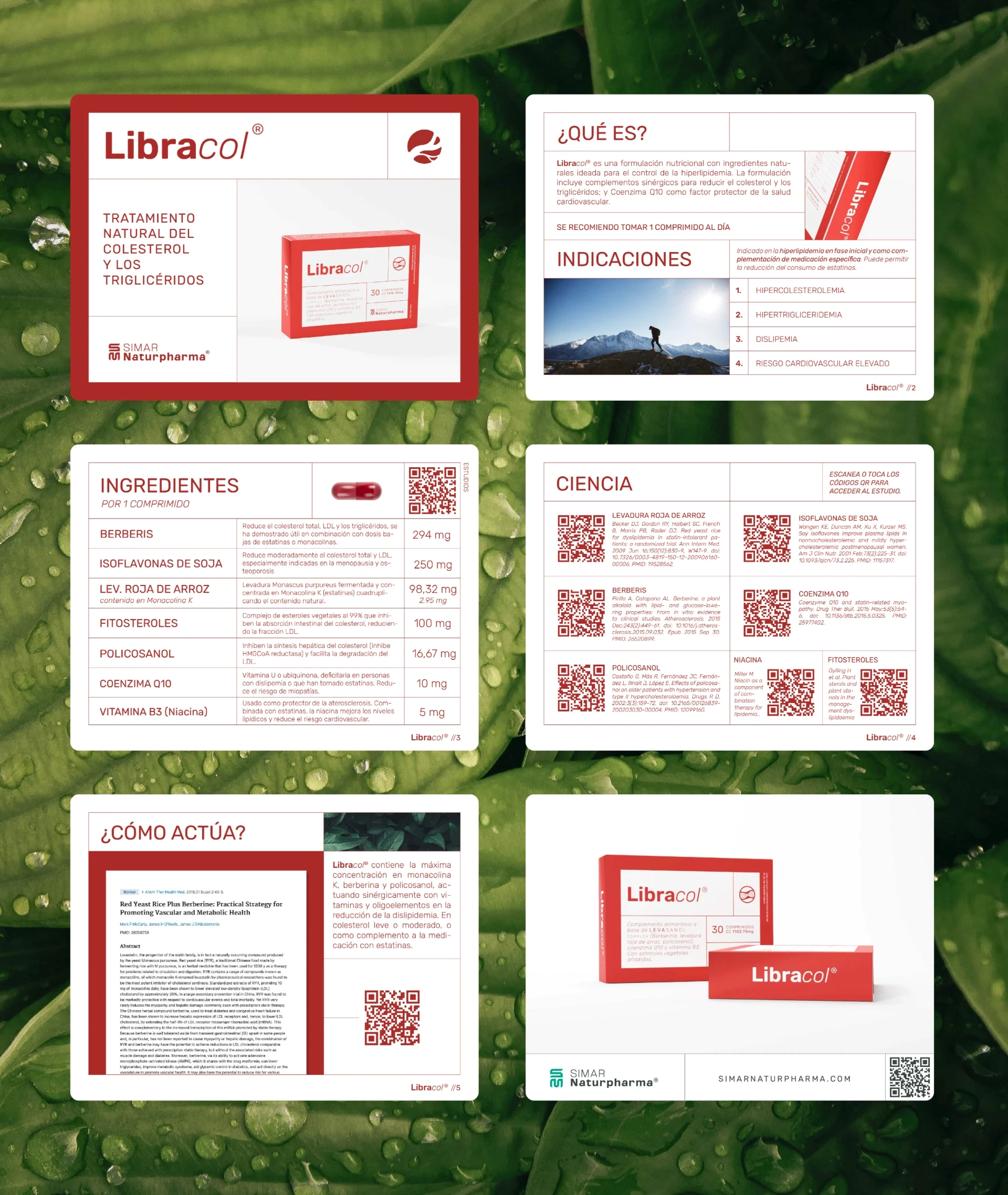 Libracol; branding, logo, packaging design from freelance graphic designer Barcelona.