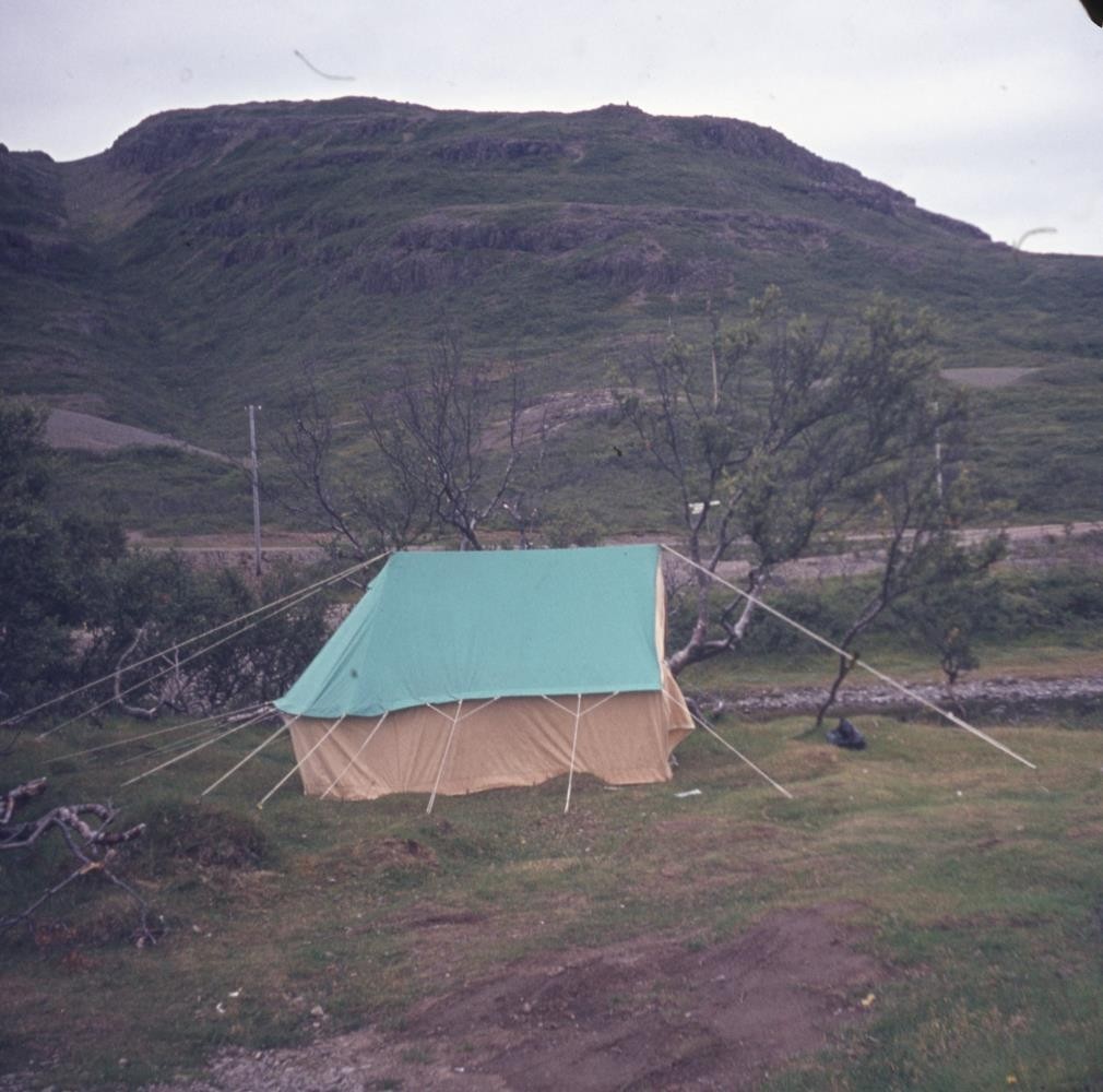 A canvas tent pitched among birch trees below the mountain at Flókalundur