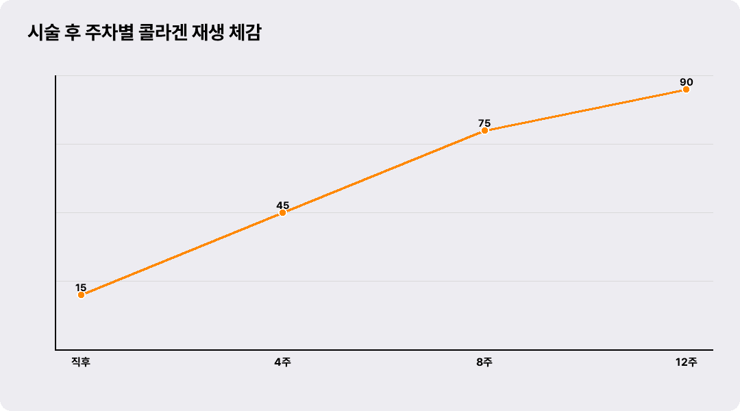 시술 후 주차별 콜라겐 재생 체감
