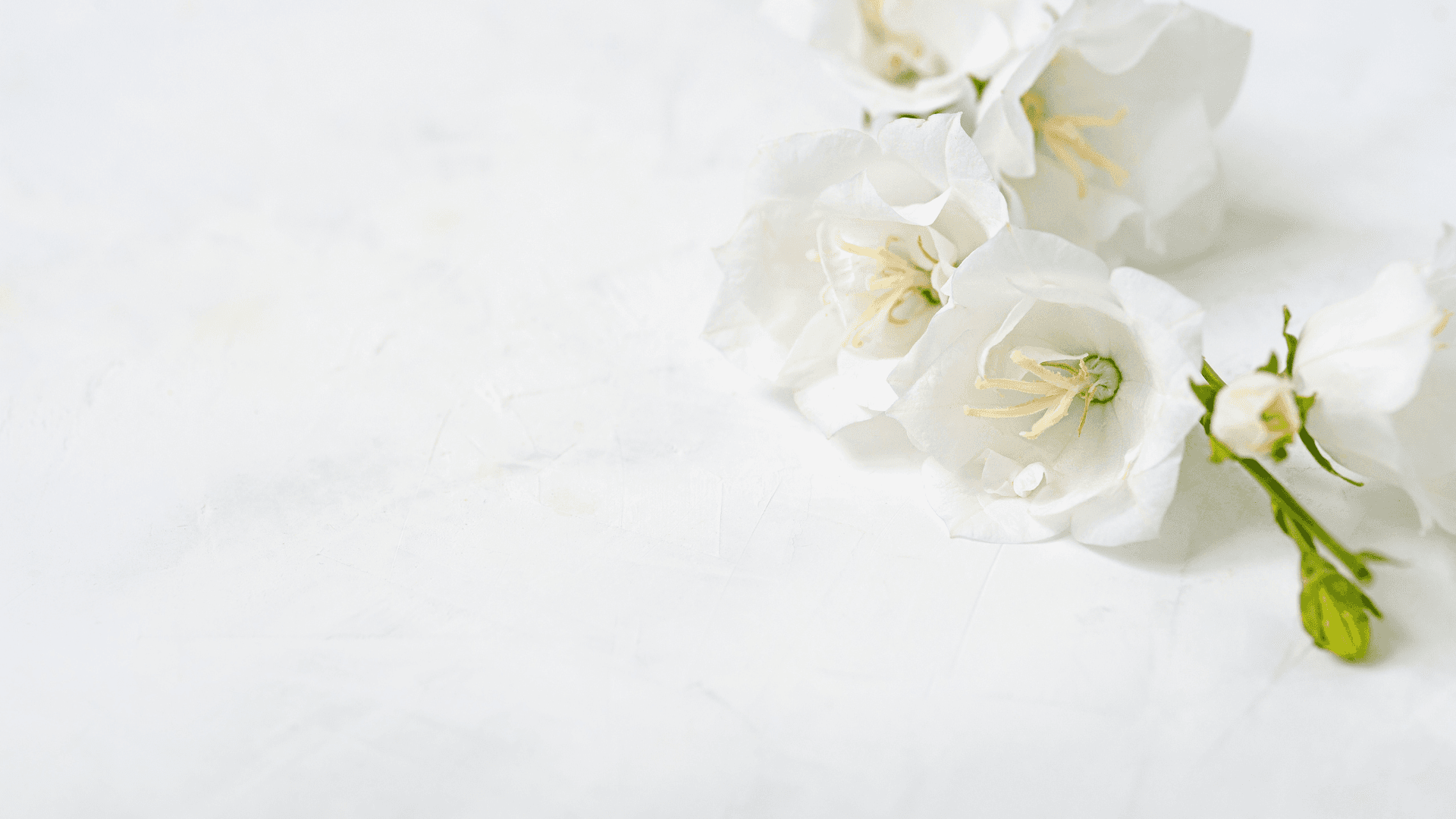 Soothing hero banner with soft white tones and the message “Feel the calm – every single day,” introducing mindful resources and daily affirmations for a peaceful lifestyle.