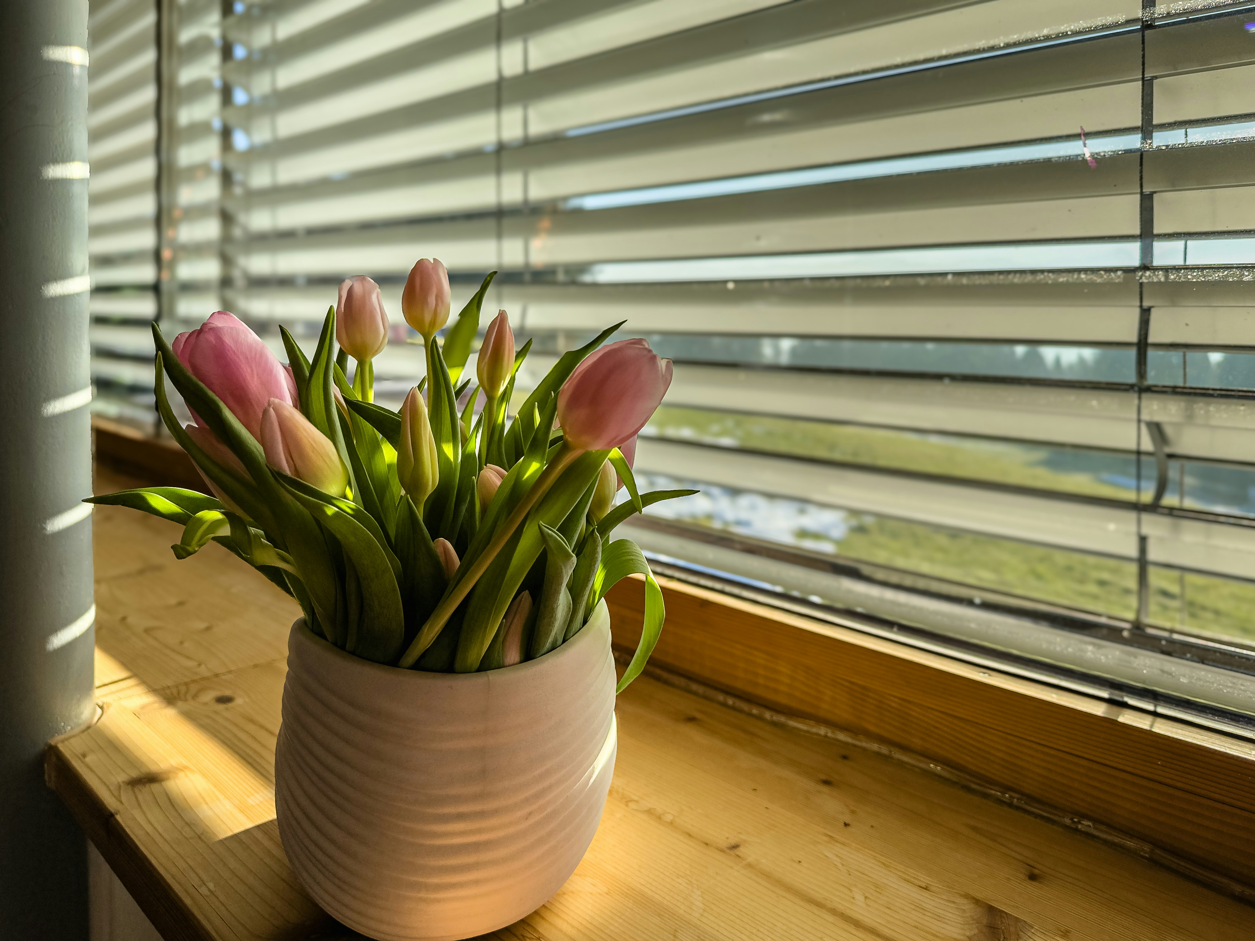 A vase of flowers sitting on a window sill