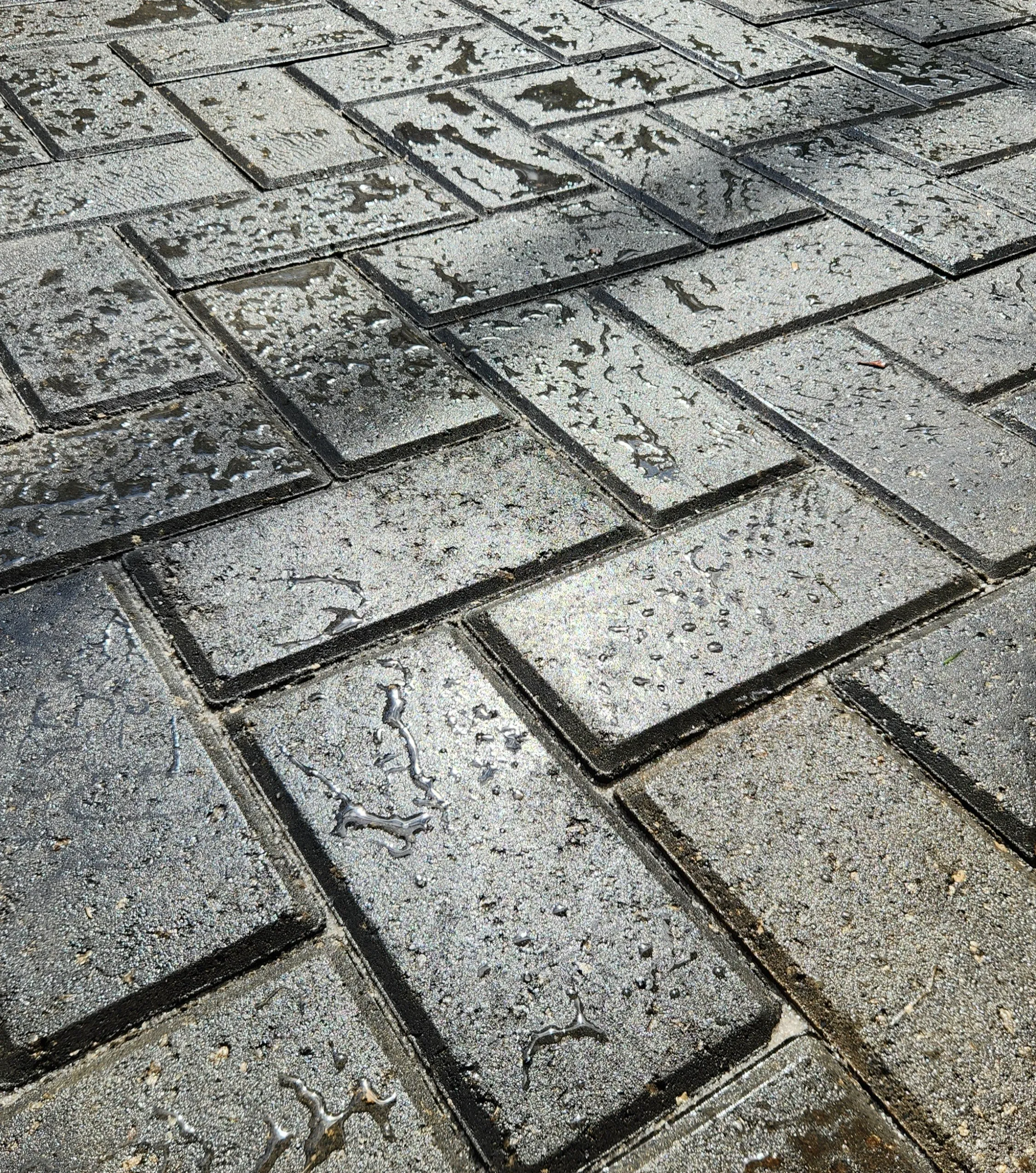Sealed pavers in Winter Park, FL