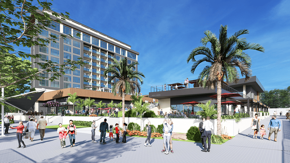 Ballad Hotel beachfront view with palm tree and people enjoying the outdoor beach area in Clearwater