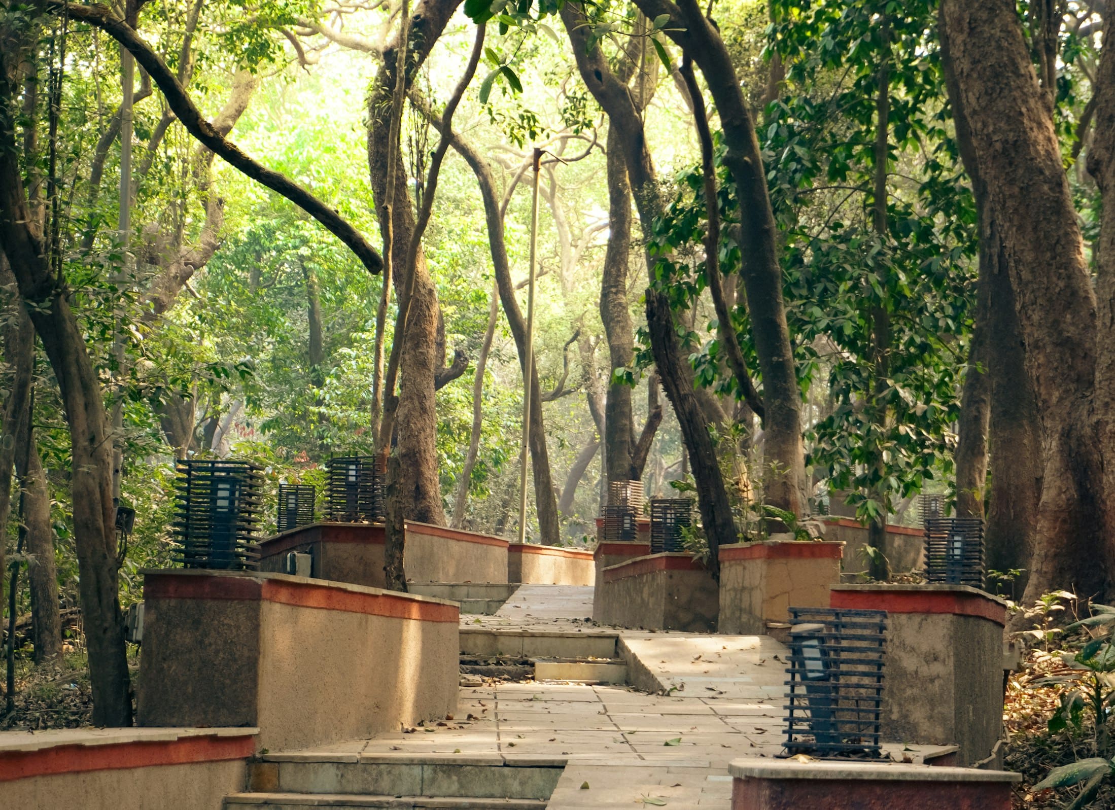 Mumbai's New Malabar Hill Elevated Nature Trail (2025): Your Complete Guide