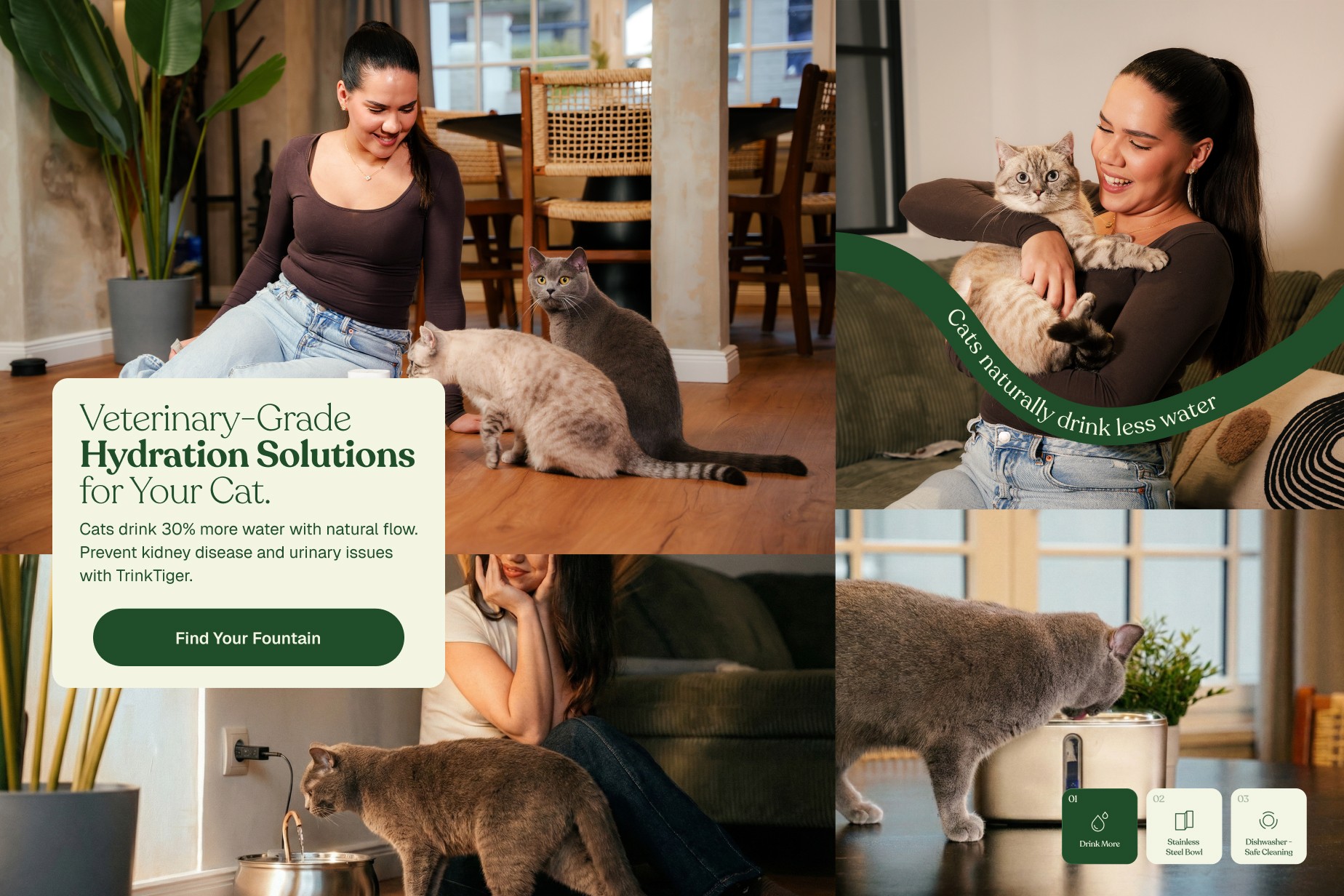 Educational ecommerce design focused on cat hydration and long-term pet wellness