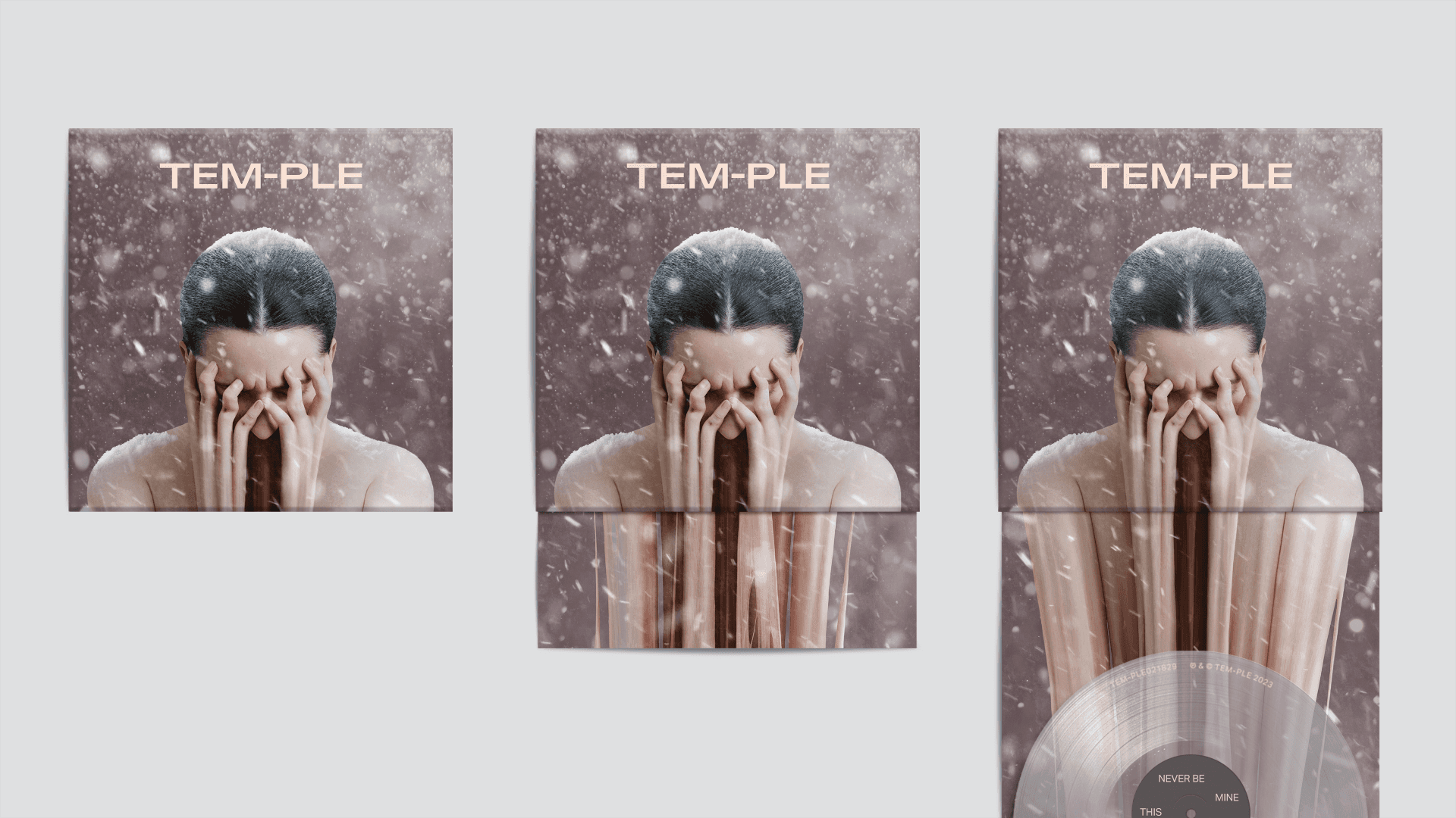 mockup of a series of posters of the woman in pain shown earlier in this blog, being shredded.