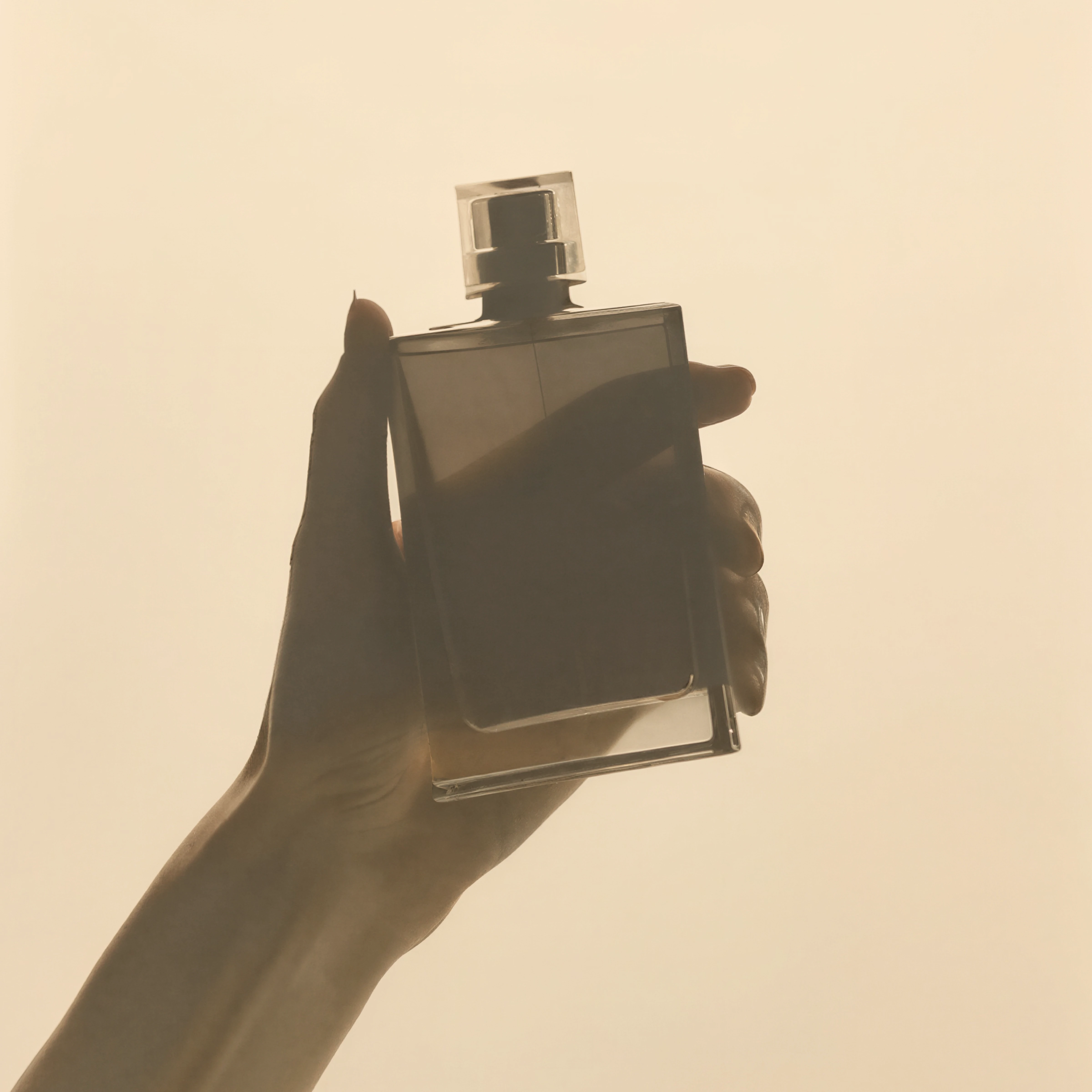 Elegant Perfume Display