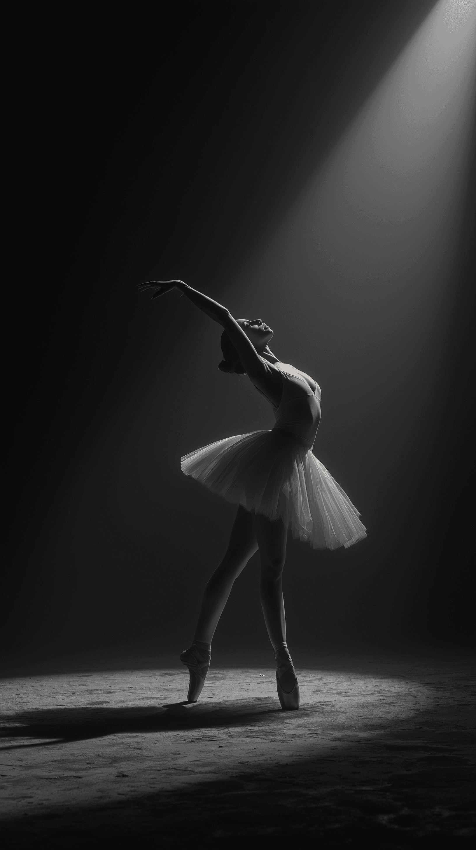 Dom Pérignon vineyards from the sky