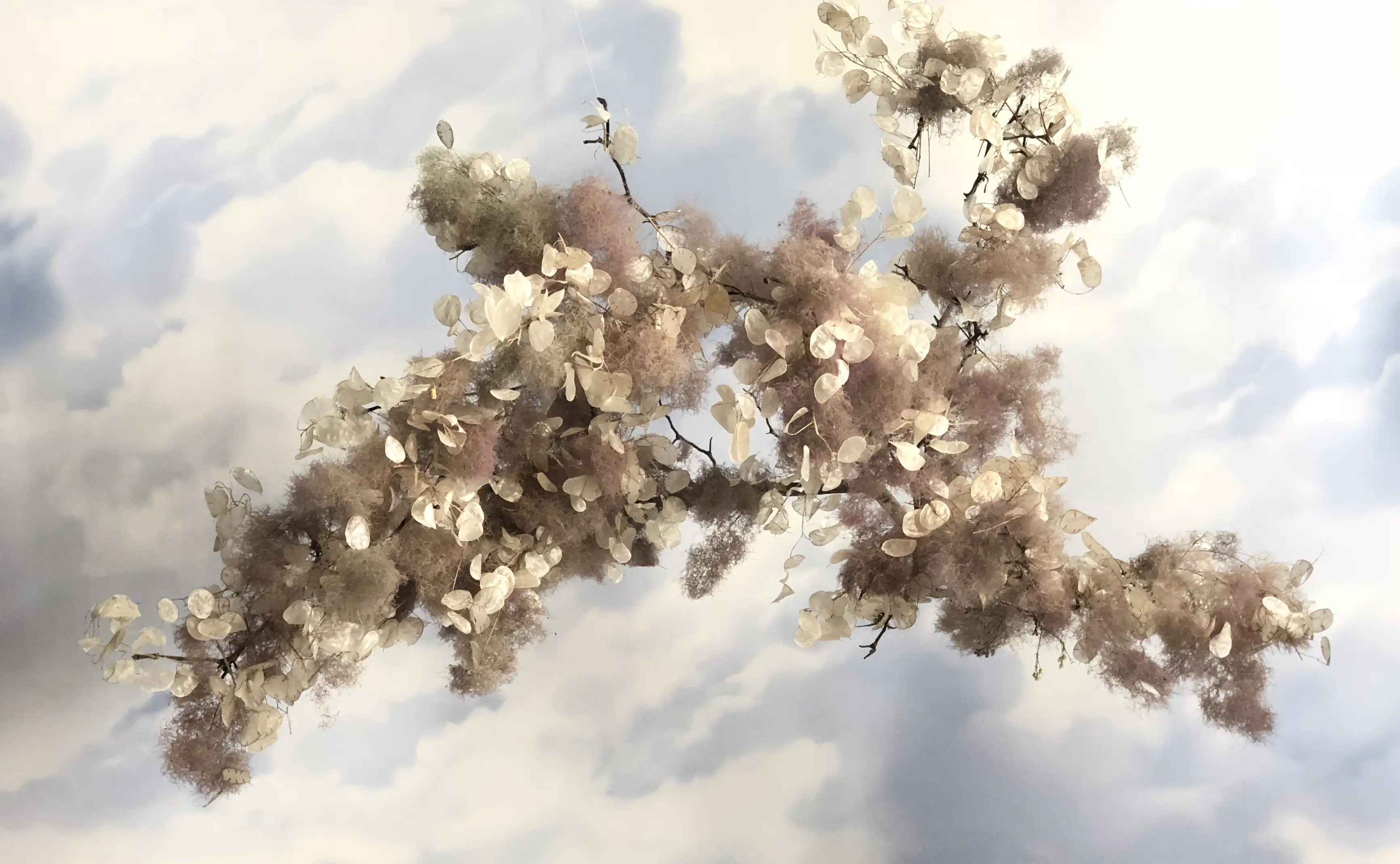 Fotografía artística de arreglo floral suspendido con hojas secas y tonos neutros para proyectos de diseño natural y branding elegante.
