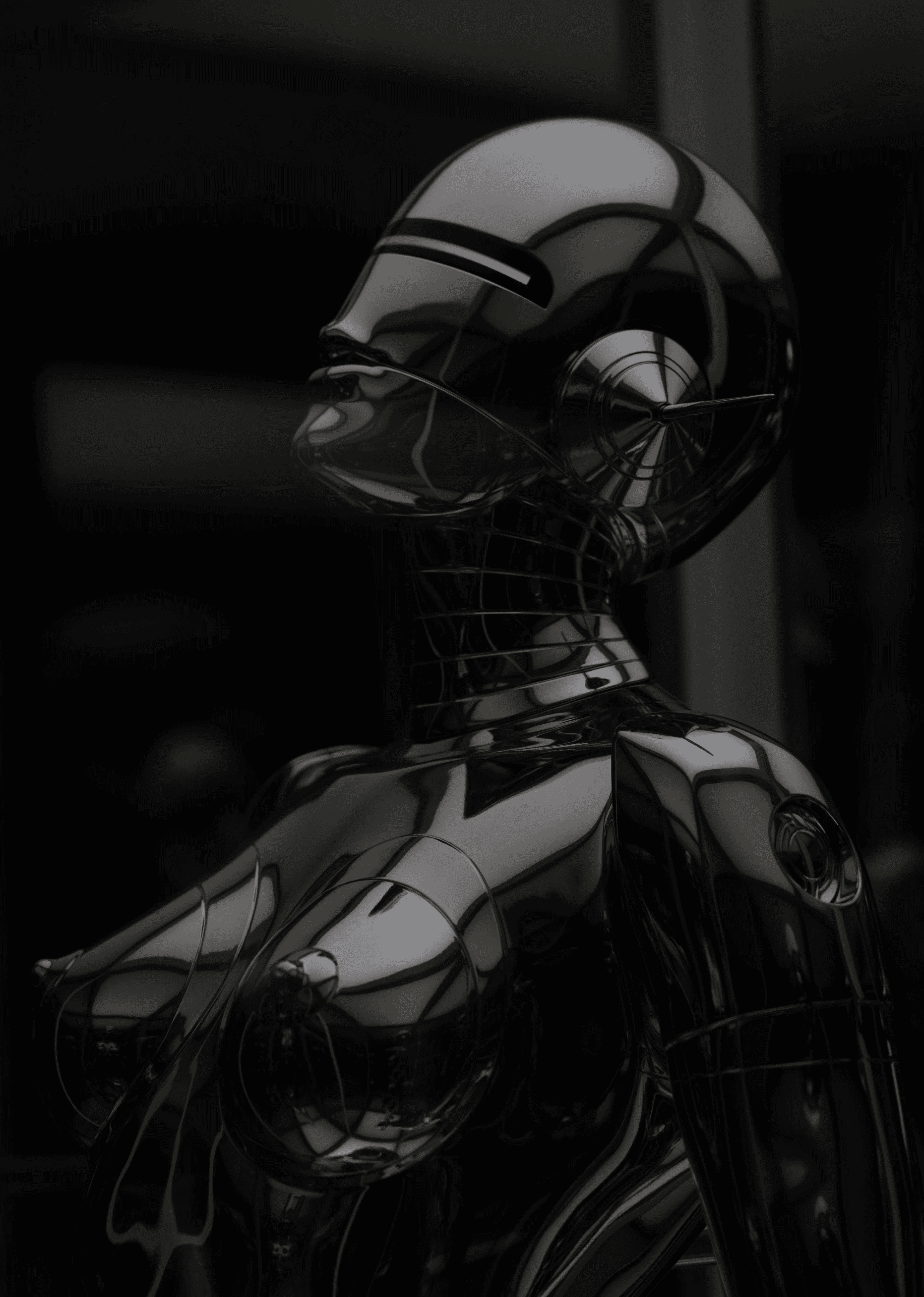 Close-up of a dark green leaf showing its textured surface and central vein against a muted background.