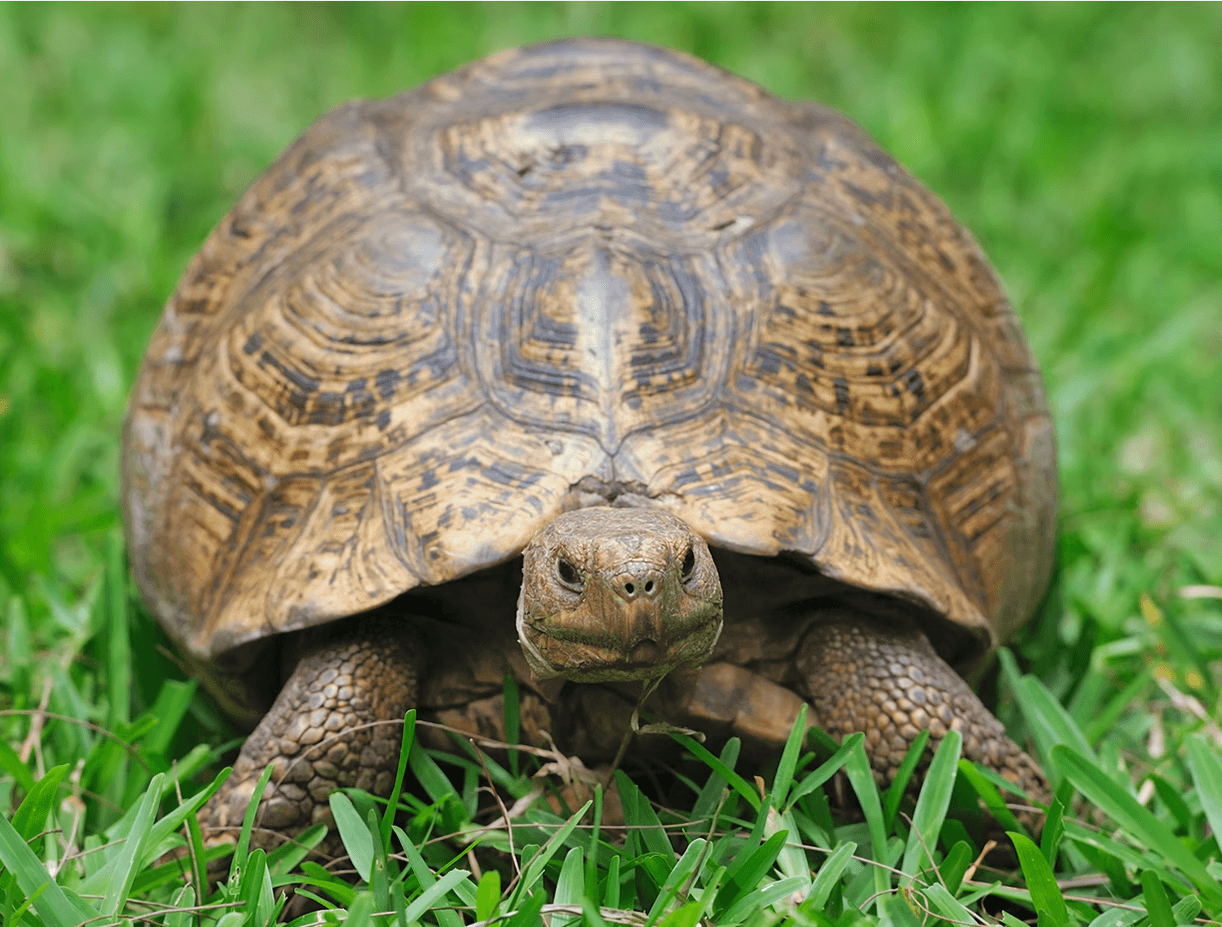 Group of men standing with Sufboard
