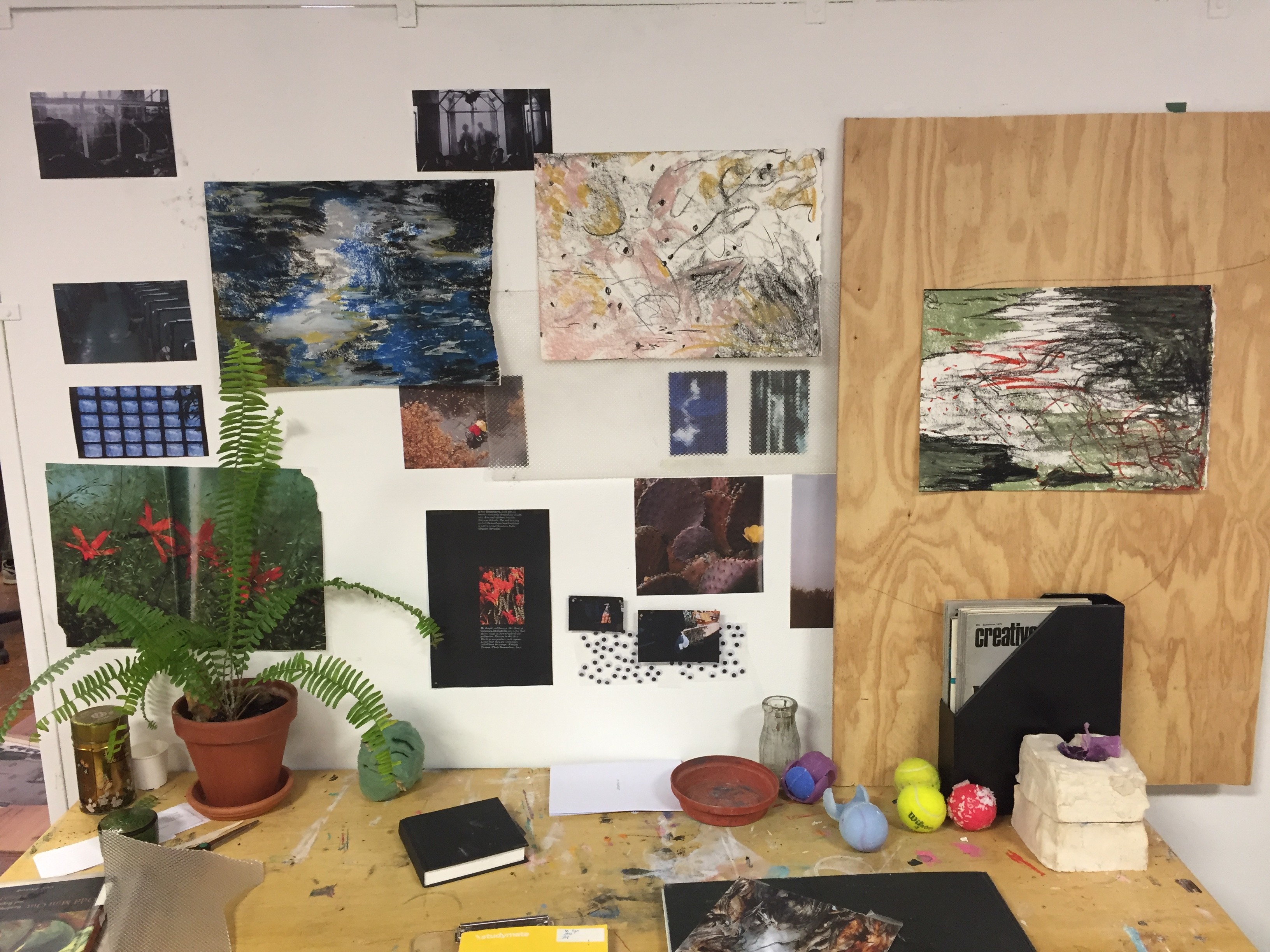 VCA Drop Out Cover Image